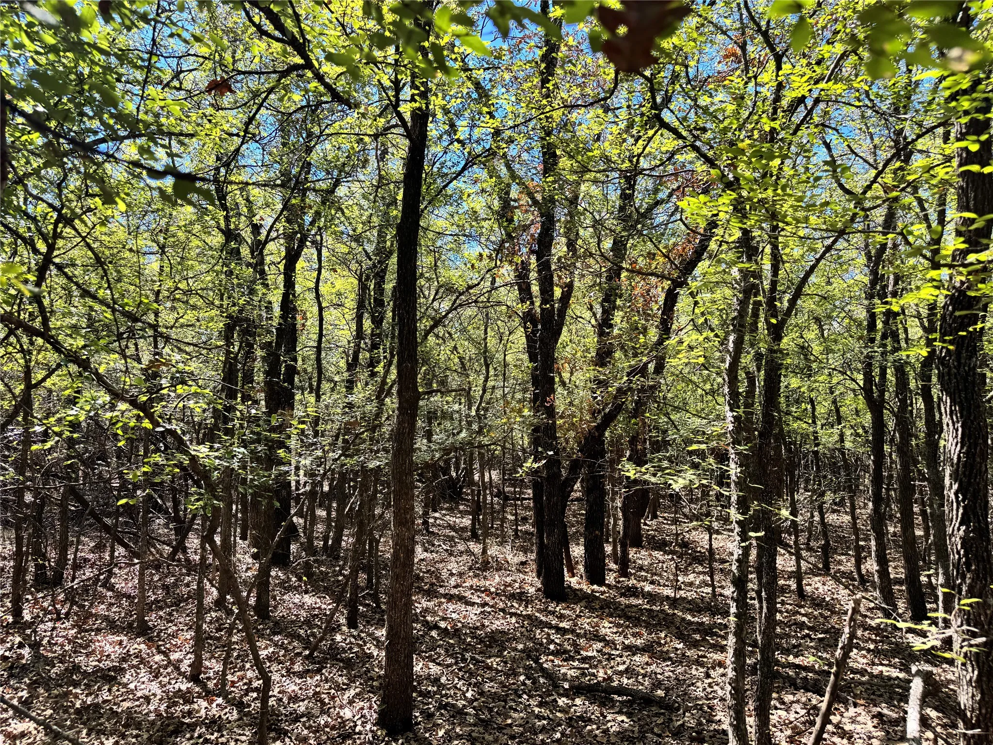 Unimproved Land For Sale in Hood County , 3711 Bob White Court, Granbury, Texas 76049, 0, 0, Garage spaces, 0 Sqft, built in 0, mls#21408508, Real Estate Agent in Granbury, Homes For Sale in Hood county, Homes For Sale in Granbury, Realtor in Granbury Texas, Real Estate Brokerage Independent Realty Texas, Luminita Cordes Realtor