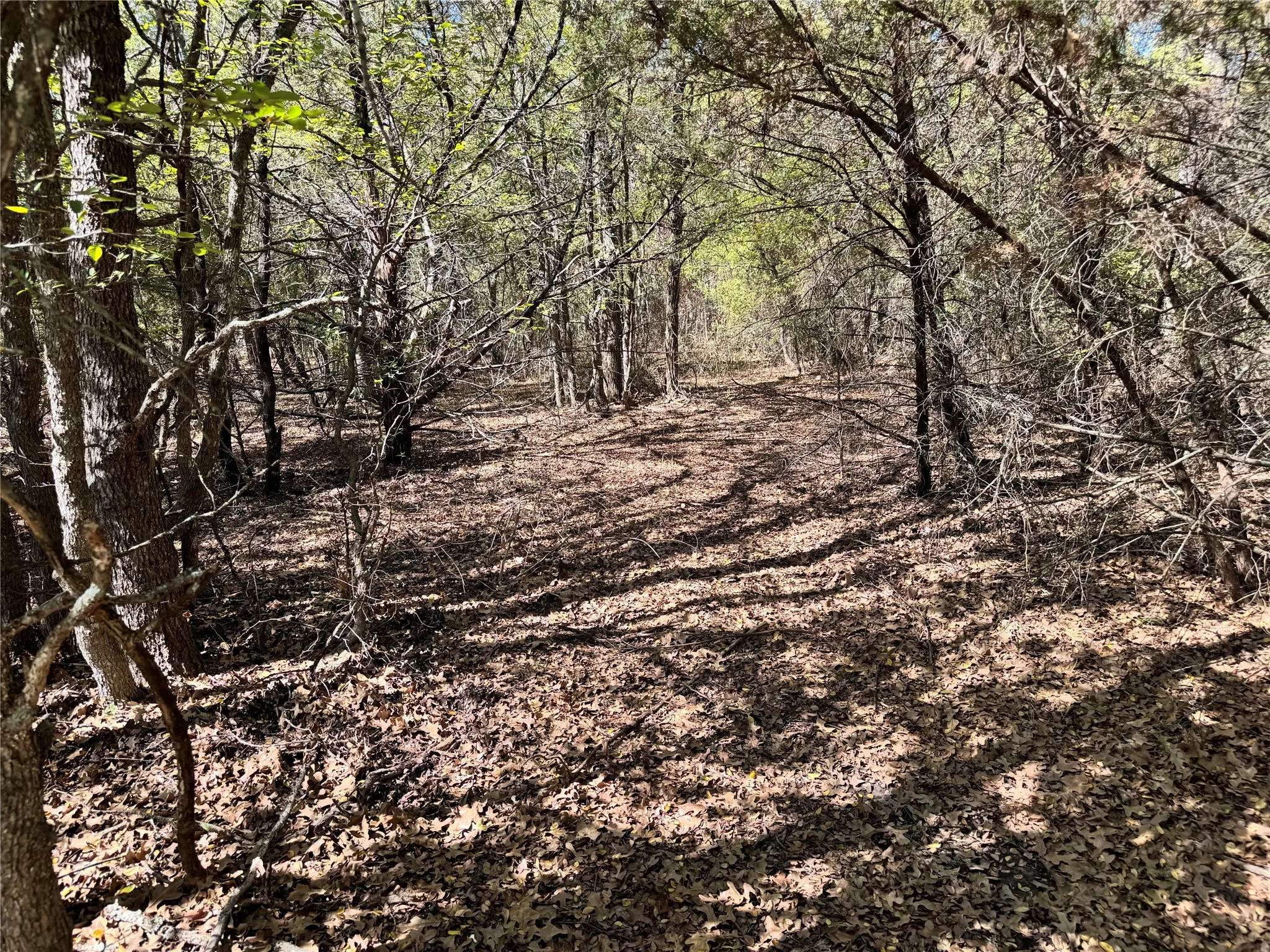 Unimproved Land For Sale in Hood County , 3711 Bob White Court, Granbury, Texas 76049, 0, 0, Garage spaces, 0 Sqft, built in 0, mls#21408508, Real Estate Agent in Granbury, Homes For Sale in Hood county, Homes For Sale in Granbury, Realtor in Granbury Texas, Real Estate Brokerage Independent Realty Texas, Luminita Cordes Realtor