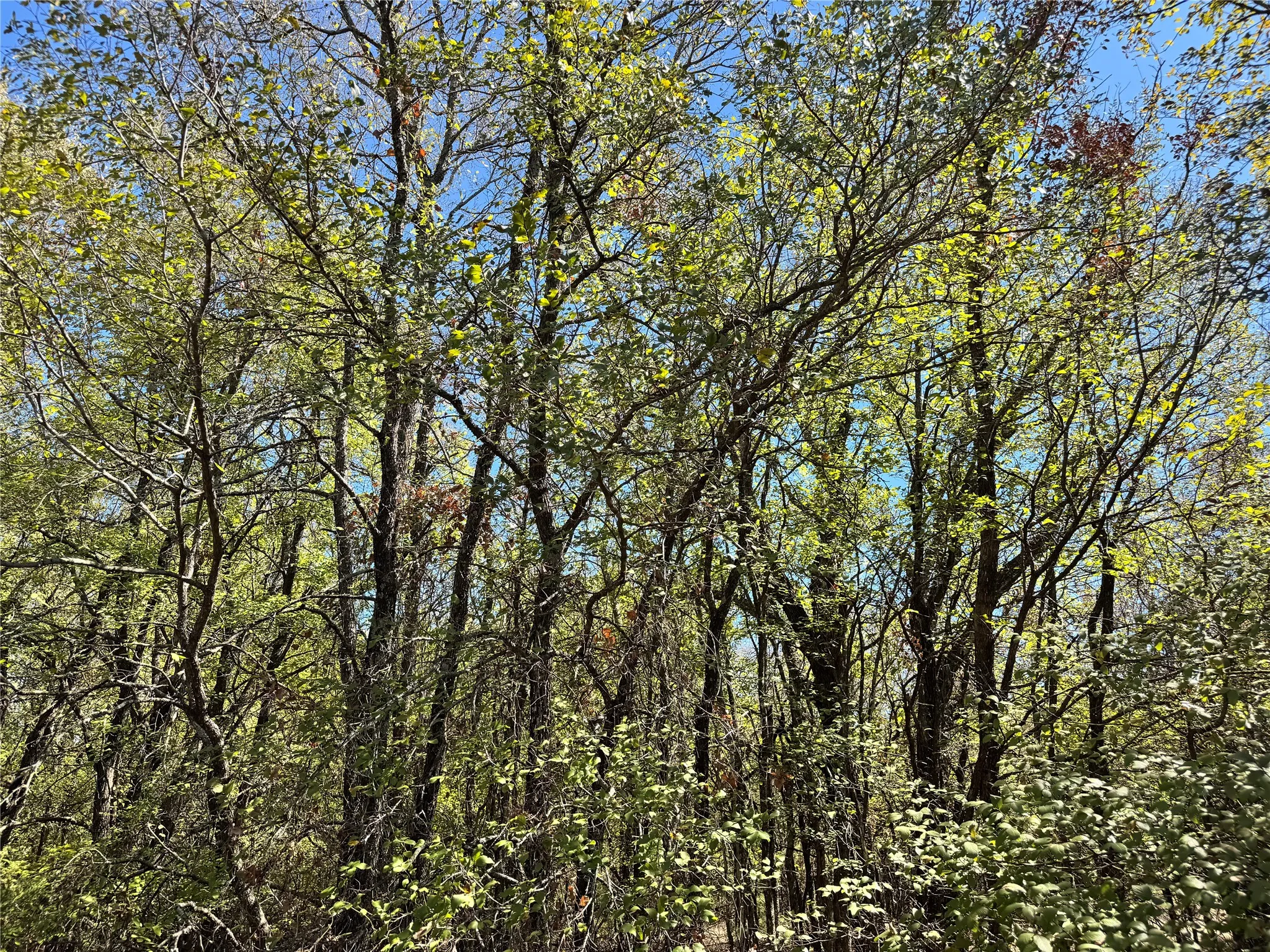 Unimproved Land For Sale in Hood County , 3711 Bob White Court, Granbury, Texas 76049, 0, 0, Garage spaces, 0 Sqft, built in 0, mls#21408508, Real Estate Agent in Granbury, Homes For Sale in Hood county, Homes For Sale in Granbury, Realtor in Granbury Texas, Real Estate Brokerage Independent Realty Texas, Luminita Cordes Realtor