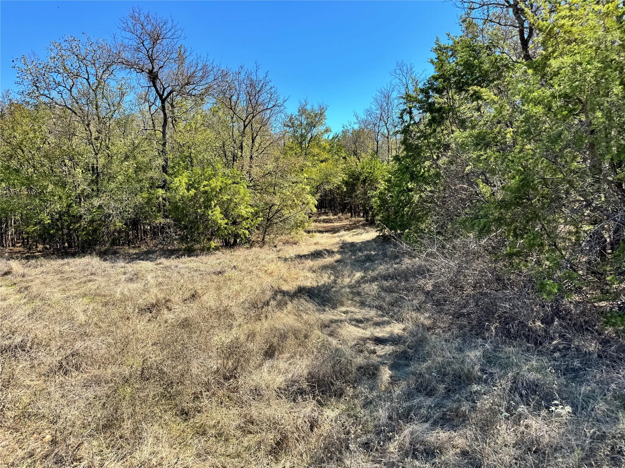 Unimproved Land For Sale in Hood County , 3711 Bob White Court, Granbury, Texas 76049, 0, 0, Garage spaces, 0 Sqft, built in 0, mls#21408508, Real Estate Agent in Granbury, Homes For Sale in Hood county, Homes For Sale in Granbury, Realtor in Granbury Texas, Real Estate Brokerage Independent Realty Texas, Luminita Cordes Realtor