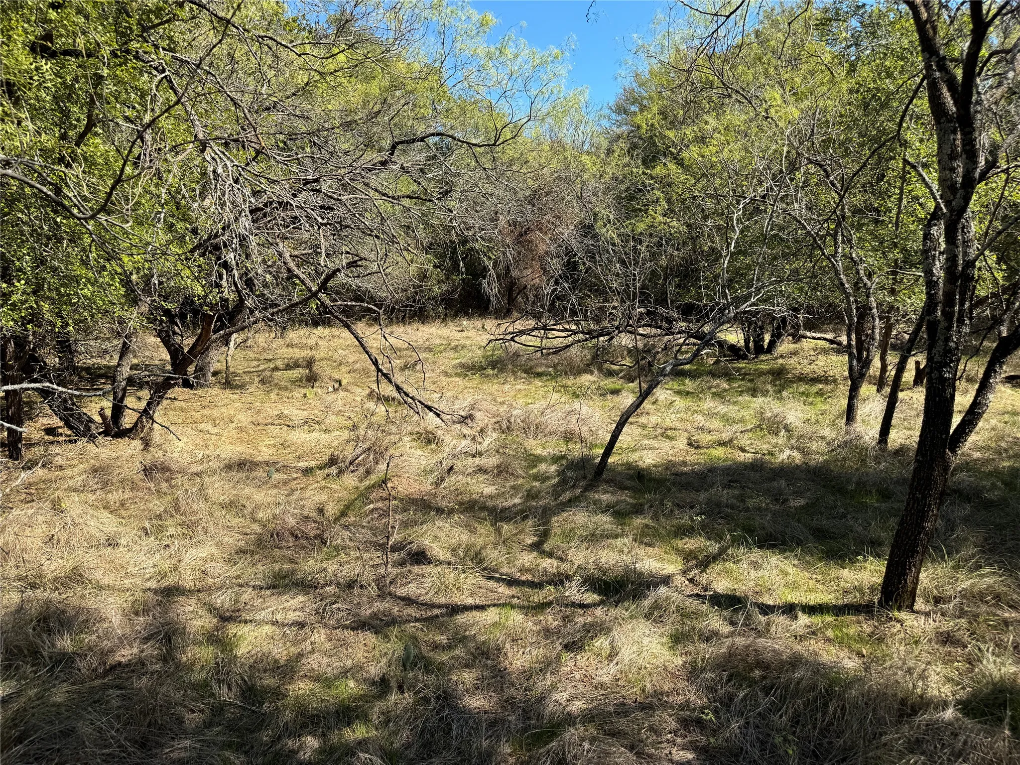 Unimproved Land For Sale in Hood County , 3711 Bob White Court, Granbury, Texas 76049, 0, 0, Garage spaces, 0 Sqft, built in 0, mls#21408508, Real Estate Agent in Granbury, Homes For Sale in Hood county, Homes For Sale in Granbury, Realtor in Granbury Texas, Real Estate Brokerage Independent Realty Texas, Luminita Cordes Realtor