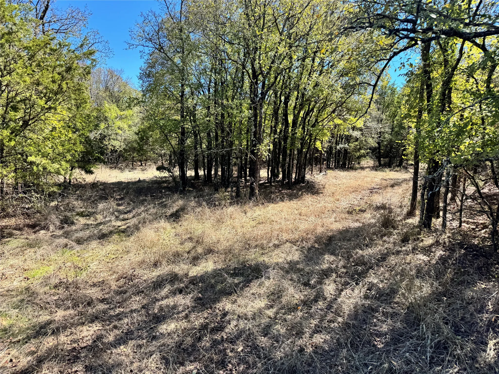 Unimproved Land For Sale in Hood County , 3711 Bob White Court, Granbury, Texas 76049, 0, 0, Garage spaces, 0 Sqft, built in 0, mls#21408508, Real Estate Agent in Granbury, Homes For Sale in Hood county, Homes For Sale in Granbury, Realtor in Granbury Texas, Real Estate Brokerage Independent Realty Texas, Luminita Cordes Realtor