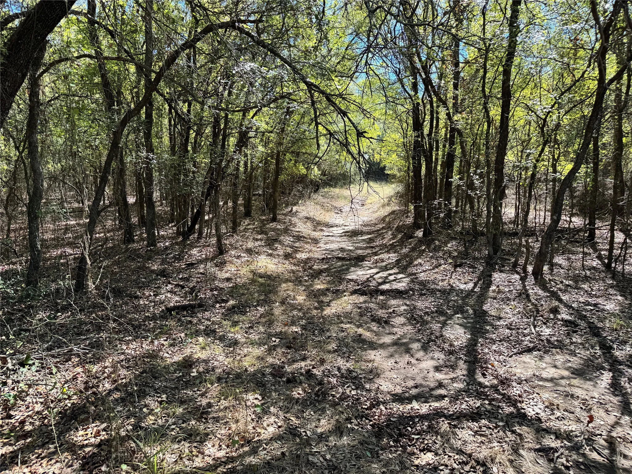Unimproved Land For Sale in Hood County , 3711 Bob White Court, Granbury, Texas 76049, 0, 0, Garage spaces, 0 Sqft, built in 0, mls#21408508, Real Estate Agent in Granbury, Homes For Sale in Hood county, Homes For Sale in Granbury, Realtor in Granbury Texas, Real Estate Brokerage Independent Realty Texas, Luminita Cordes Realtor