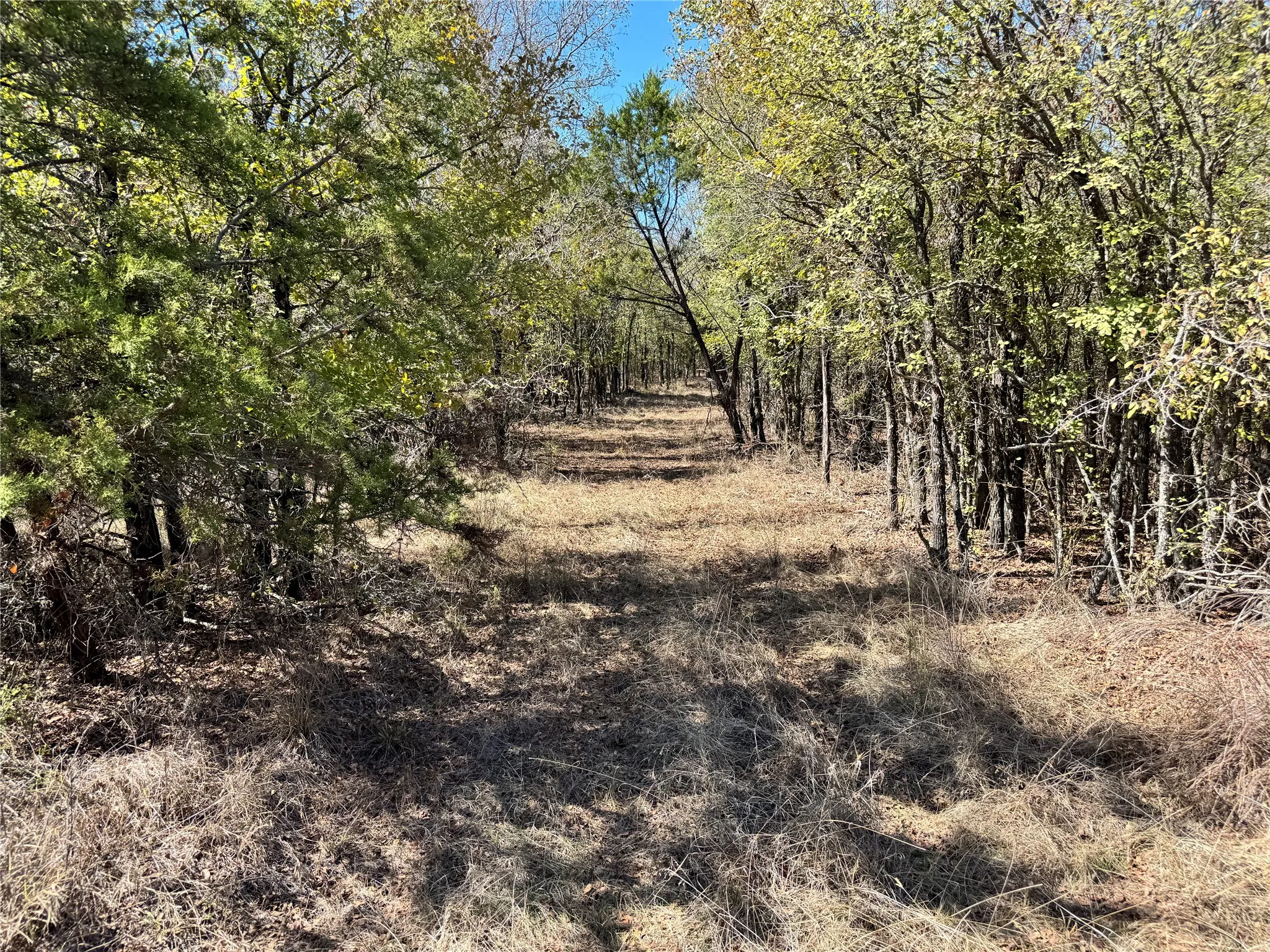 Unimproved Land For Sale in Hood County , 3711 Bob White Court, Granbury, Texas 76049, 0, 0, Garage spaces, 0 Sqft, built in 0, mls#21408508, Real Estate Agent in Granbury, Homes For Sale in Hood county, Homes For Sale in Granbury, Realtor in Granbury Texas, Real Estate Brokerage Independent Realty Texas, Luminita Cordes Realtor