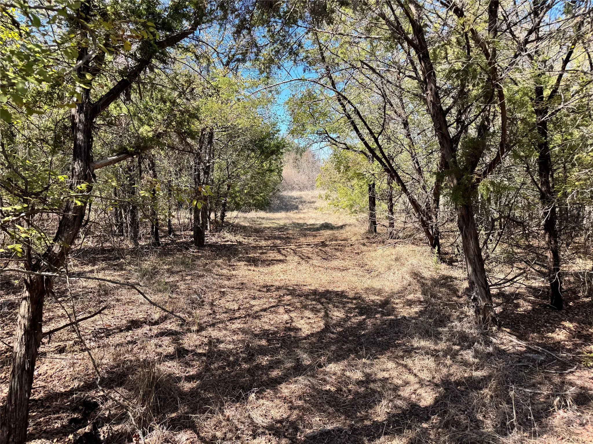 Unimproved Land For Sale in Hood County , 3711 Bob White Court, Granbury, Texas 76049, 0, 0, Garage spaces, 0 Sqft, built in 0, mls#21408508, Real Estate Agent in Granbury, Homes For Sale in Hood county, Homes For Sale in Granbury, Realtor in Granbury Texas, Real Estate Brokerage Independent Realty Texas, Luminita Cordes Realtor