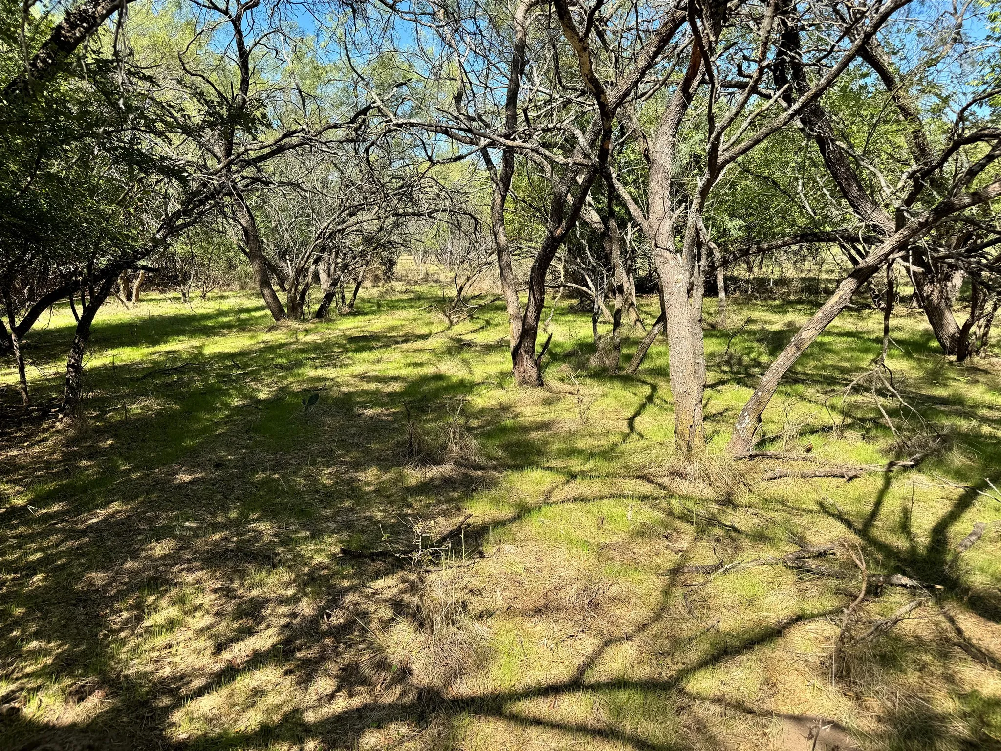 Unimproved Land For Sale in Hood County , 3711 Bob White Court, Granbury, Texas 76049, 0, 0, Garage spaces, 0 Sqft, built in 0, mls#21408508, Real Estate Agent in Granbury, Homes For Sale in Hood county, Homes For Sale in Granbury, Realtor in Granbury Texas, Real Estate Brokerage Independent Realty Texas, Luminita Cordes Realtor