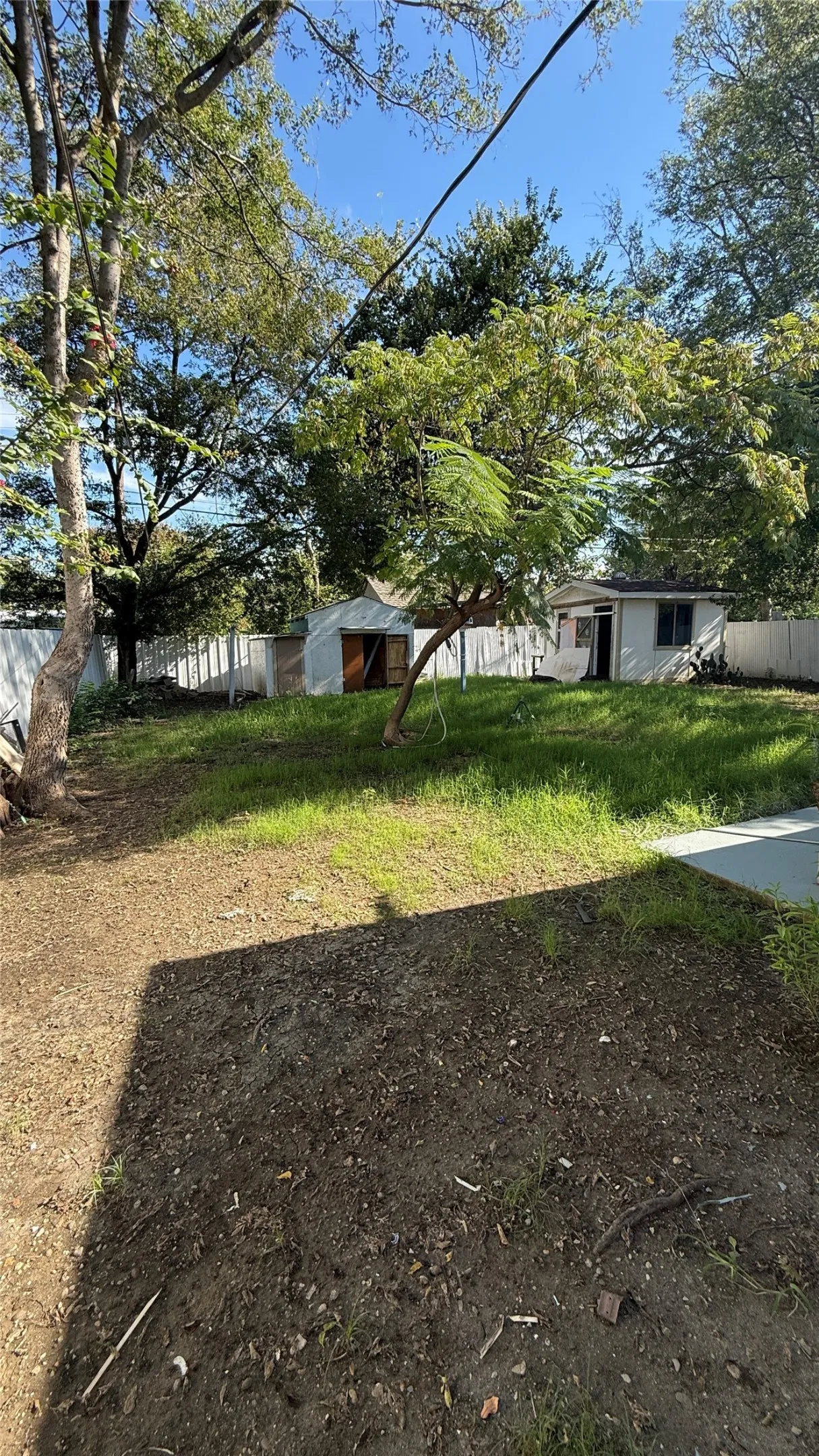 Backyard