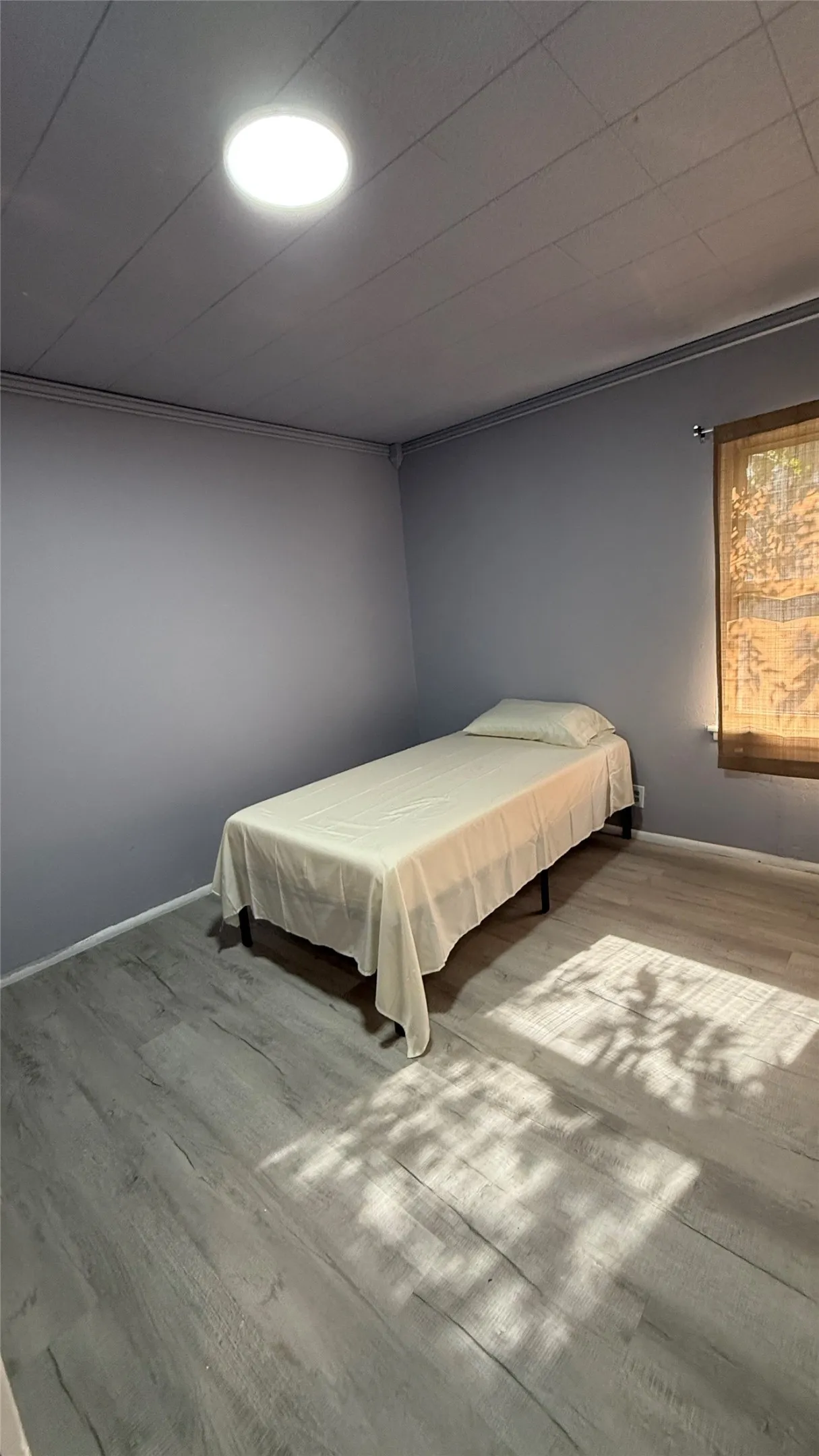 Wood-finish flooring with light gray walls and a ceiling-mounted light fixture
