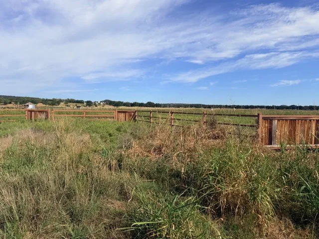 Unimproved Land For Sale in Palo Pinto County , 770 Beddo, Santo, Texas 76472, 0, 0, Garage spaces, 0 Sqft, built in 0, mls#21408867, Real Estate Agent in Santo, Homes For Sale in Palo Pinto county, Homes For Sale in Santo, Realtor in Santo Texas, Real Estate Brokerage Independent Realty Texas, Luminita Cordes Realtor