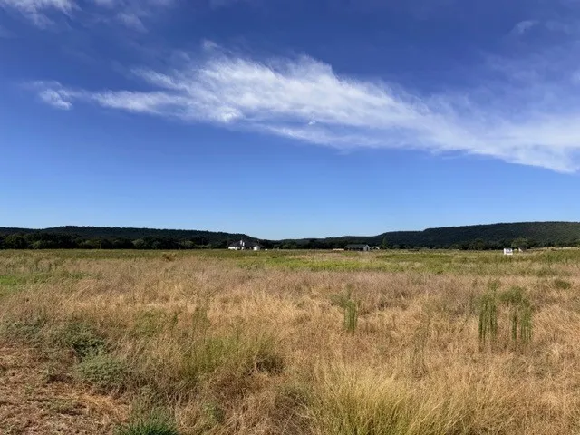 Unimproved Land For Sale in Palo Pinto County , 770 Beddo, Santo, Texas 76472, 0, 0, Garage spaces, 0 Sqft, built in 0, mls#21408867, Real Estate Agent in Santo, Homes For Sale in Palo Pinto county, Homes For Sale in Santo, Realtor in Santo Texas, Real Estate Brokerage Independent Realty Texas, Luminita Cordes Realtor