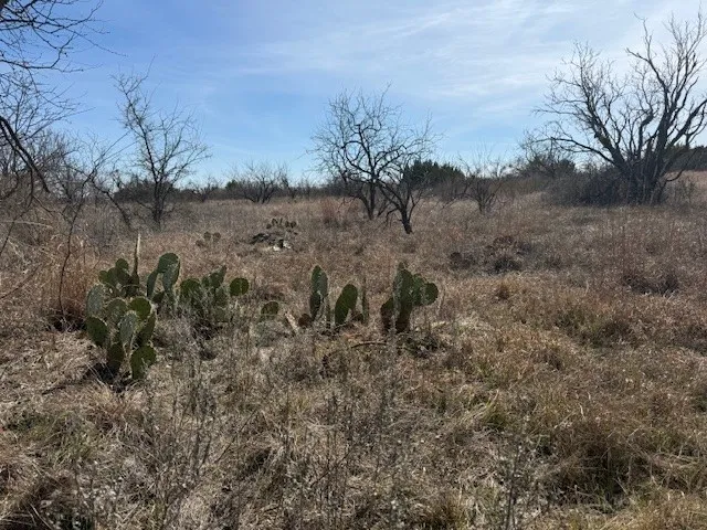 Unimproved Land For Sale in Brown County , TBD 5.37 Acres Valley View Road, Brownwood, Texas 76801, 0, 0, Garage spaces, 0 Sqft, built in 1800, mls#21187980, Real Estate Agent in Brownwood, Homes For Sale in Brown county, Homes For Sale in Brownwood, Realtor in Brownwood Texas, Real Estate Brokerage Independent Realty Texas, Luminita Cordes Realtor