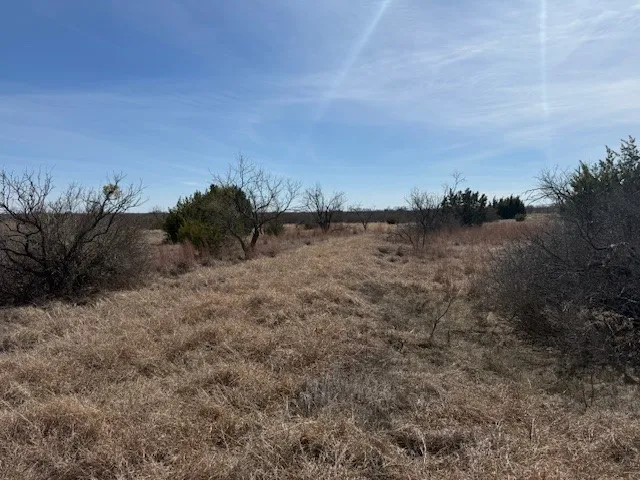 Unimproved Land For Sale in Brown County , TBD 5.37 Acres Valley View Road, Brownwood, Texas 76801, 0, 0, Garage spaces, 0 Sqft, built in 1800, mls#21187980, Real Estate Agent in Brownwood, Homes For Sale in Brown county, Homes For Sale in Brownwood, Realtor in Brownwood Texas, Real Estate Brokerage Independent Realty Texas, Luminita Cordes Realtor