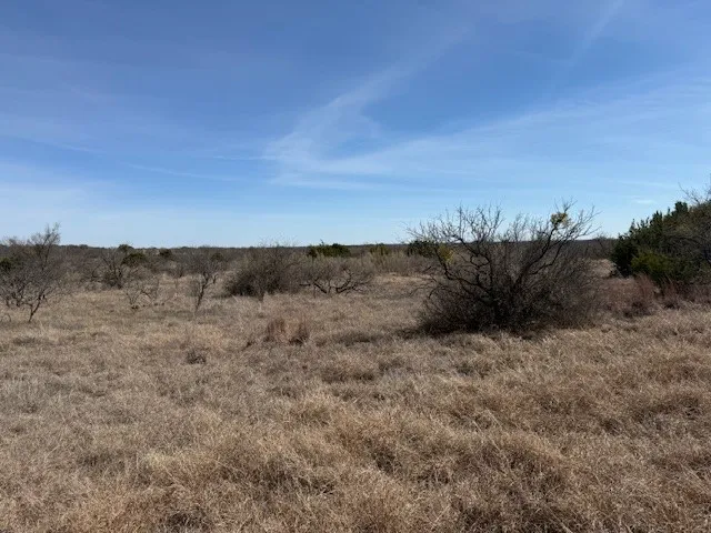 Unimproved Land For Sale in Brown County , TBD 5.37 Acres Valley View Road, Brownwood, Texas 76801, 0, 0, Garage spaces, 0 Sqft, built in 1800, mls#21187980, Real Estate Agent in Brownwood, Homes For Sale in Brown county, Homes For Sale in Brownwood, Realtor in Brownwood Texas, Real Estate Brokerage Independent Realty Texas, Luminita Cordes Realtor