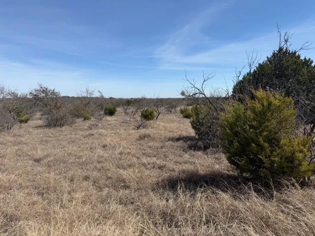 Unimproved Land For Sale in Brown County , TBD 5.37 Acres Valley View Road, Brownwood, Texas 76801, 0, 0, Garage spaces, 0 Sqft, built in 1800, mls#21187980, Real Estate Agent in Brownwood, Homes For Sale in Brown county, Homes For Sale in Brownwood, Realtor in Brownwood Texas, Real Estate Brokerage Independent Realty Texas, Luminita Cordes Realtor