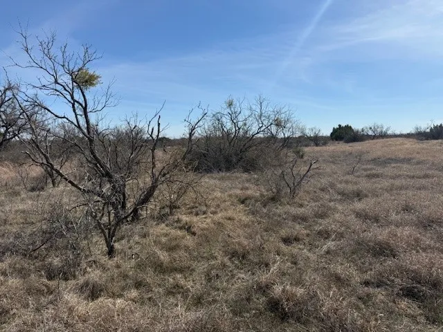 Unimproved Land For Sale in Brown County , TBD 5.37 Acres Valley View Road, Brownwood, Texas 76801, 0, 0, Garage spaces, 0 Sqft, built in 1800, mls#21187980, Real Estate Agent in Brownwood, Homes For Sale in Brown county, Homes For Sale in Brownwood, Realtor in Brownwood Texas, Real Estate Brokerage Independent Realty Texas, Luminita Cordes Realtor