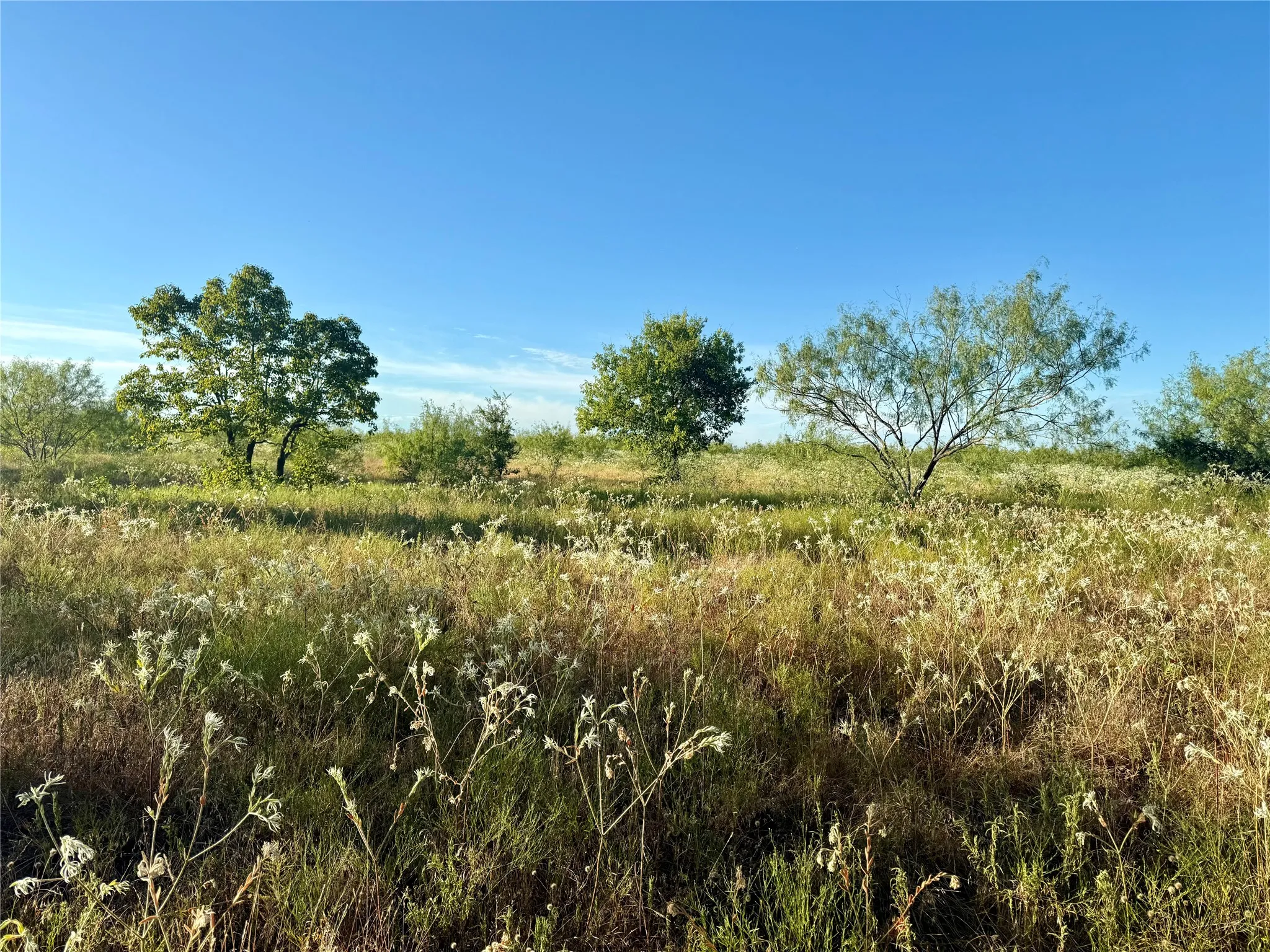 Unimproved Land For Sale in Kaufman County , TBD 10 +/- Acres County Road 4102, Kaufman, Texas 75142, 0, 0, Garage spaces, 0 Sqft, built in 1800, mls#21363130, Real Estate Agent in Kaufman, Homes For Sale in Kaufman county, Homes For Sale in Kaufman, Realtor in Kaufman Texas, Real Estate Brokerage Independent Realty Texas, Luminita Cordes Realtor