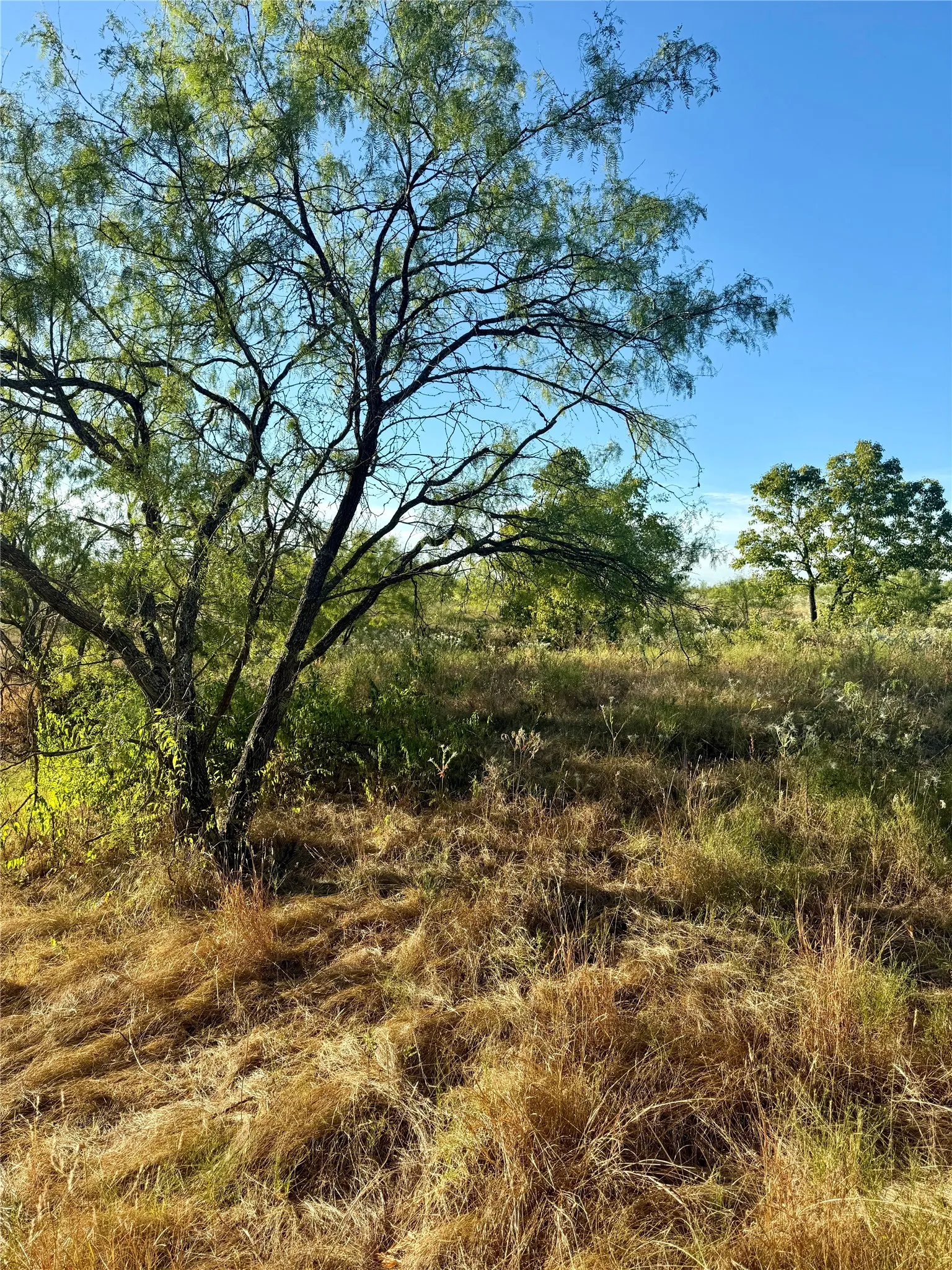 Unimproved Land For Sale in Kaufman County , TBD 10 +/- Acres County Road 4102, Kaufman, Texas 75142, 0, 0, Garage spaces, 0 Sqft, built in 1800, mls#21363130, Real Estate Agent in Kaufman, Homes For Sale in Kaufman county, Homes For Sale in Kaufman, Realtor in Kaufman Texas, Real Estate Brokerage Independent Realty Texas, Luminita Cordes Realtor