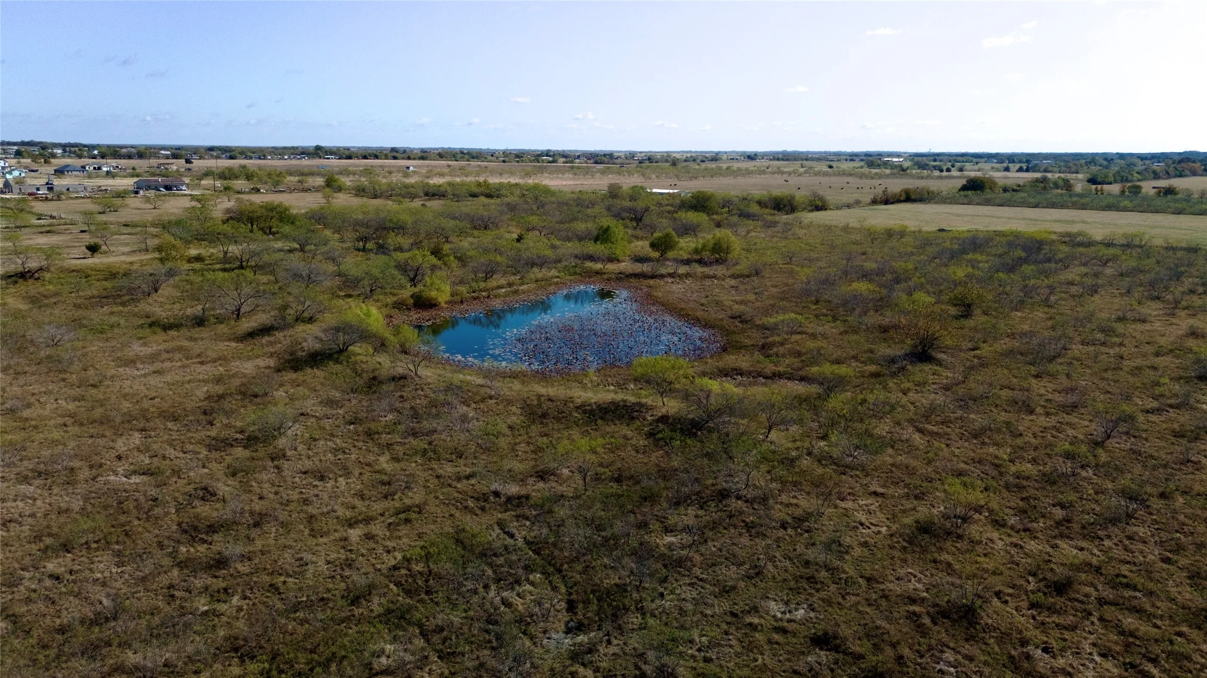 Unimproved Land For Sale in Kaufman County , TBD 10 +/- Acres County Road 4102, Kaufman, Texas 75142, 0, 0, Garage spaces, 0 Sqft, built in 1800, mls#21363130, Real Estate Agent in Kaufman, Homes For Sale in Kaufman county, Homes For Sale in Kaufman, Realtor in Kaufman Texas, Real Estate Brokerage Independent Realty Texas, Luminita Cordes Realtor