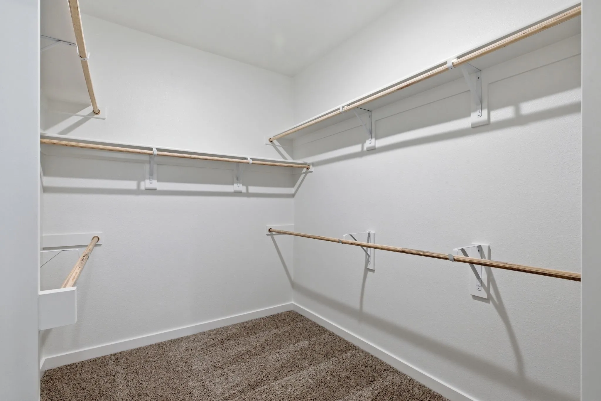 Walk-in closet featuring white walls, wood-finish shelving and hanging rods, and carpet flooring