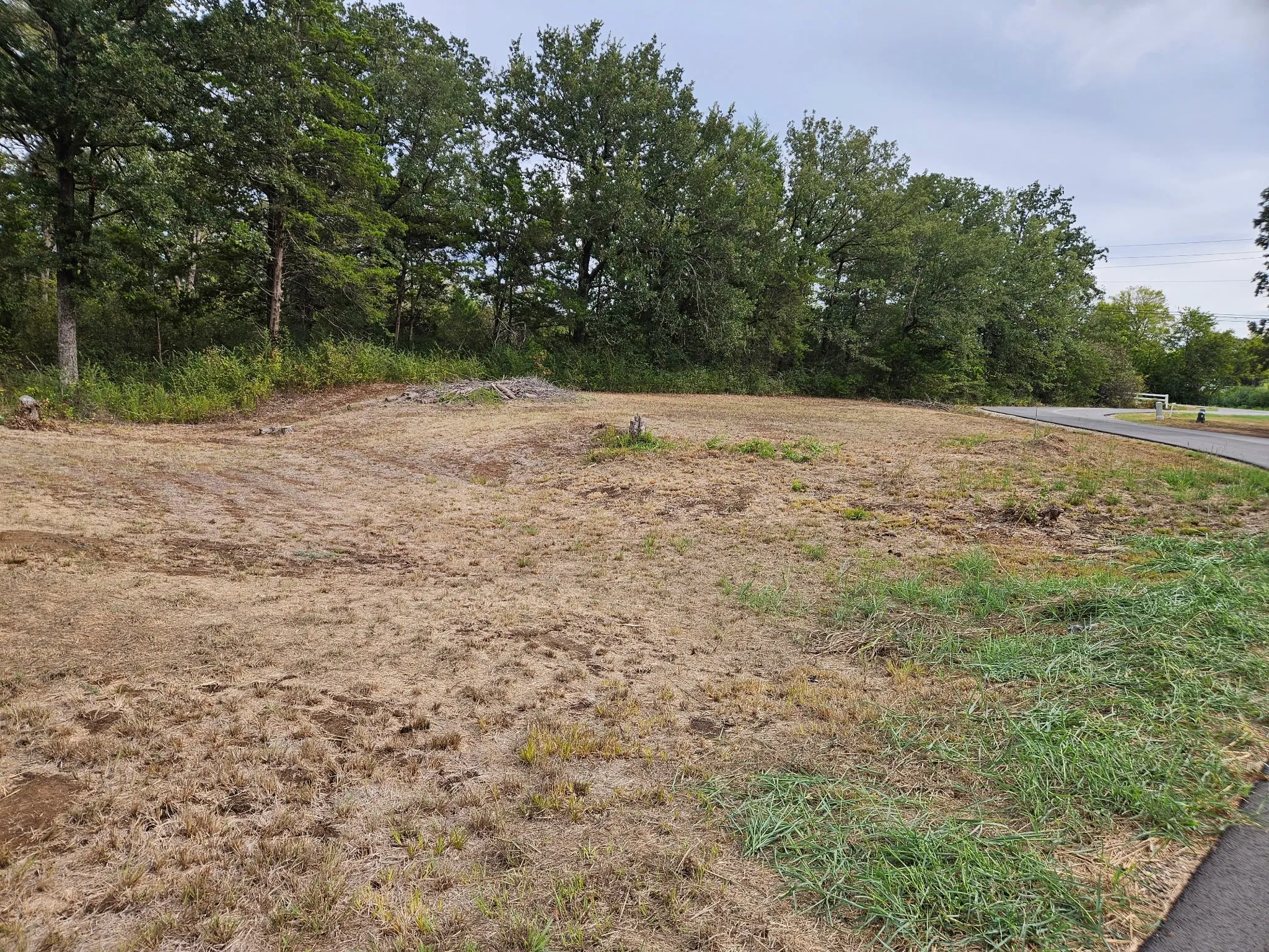 Unimproved Land For Sale in Franklin (TX) County , 32 E Elmwood, Mount Vernon, Texas 75044, 0, 0, Garage spaces, 0 Sqft, built in 0, mls#21408922, Real Estate Agent in Mount Vernon, Homes For Sale in Franklin (TX) county, Homes For Sale in Mount Vernon, Realtor in Mount Vernon Texas, Real Estate Brokerage Independent Realty Texas, Luminita Cordes Realtor