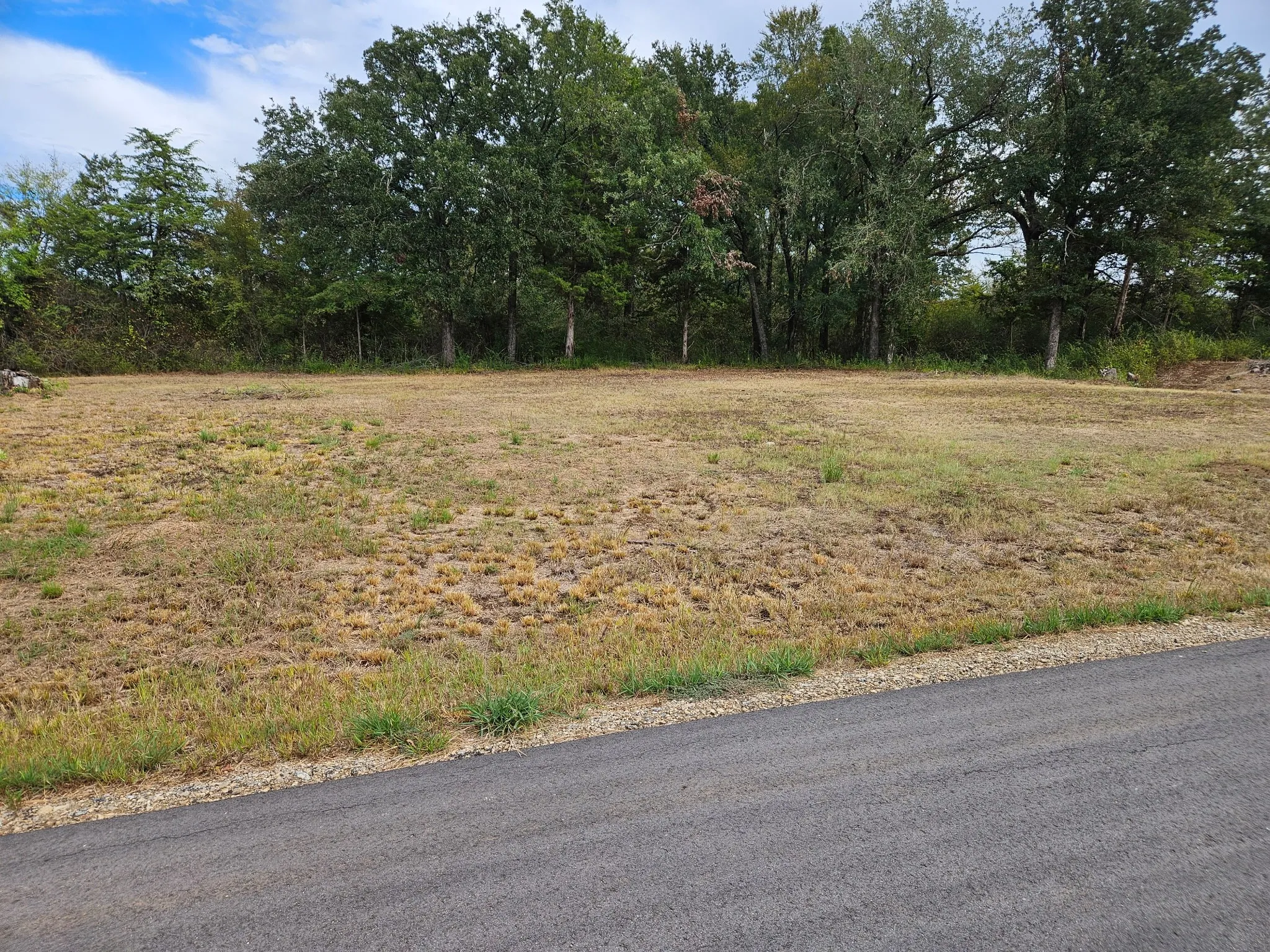 Unimproved Land For Sale in Franklin (TX) County , 32 E Elmwood, Mount Vernon, Texas 75044, 0, 0, Garage spaces, 0 Sqft, built in 0, mls#21408922, Real Estate Agent in Mount Vernon, Homes For Sale in Franklin (TX) county, Homes For Sale in Mount Vernon, Realtor in Mount Vernon Texas, Real Estate Brokerage Independent Realty Texas, Luminita Cordes Realtor