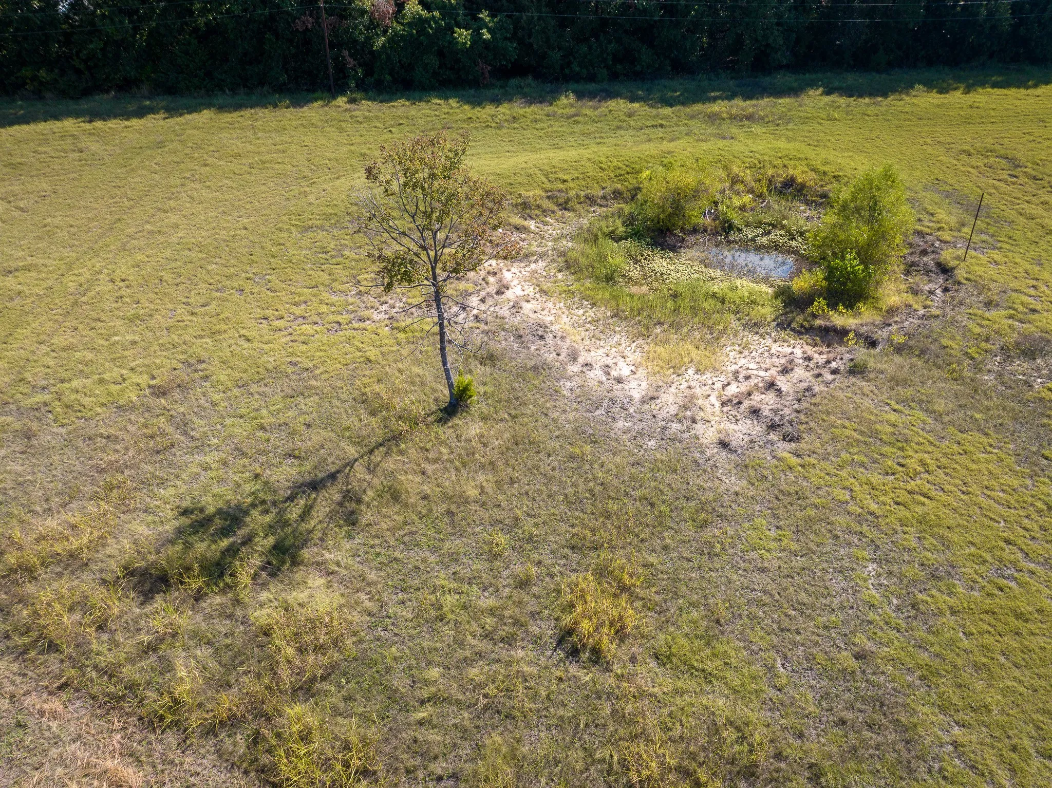 Unimproved Land For Sale in Collin County , TBD County Road 568, Princeton, Texas 75407, 0, 0, Garage spaces, 0 Sqft, built in 1950, mls#21408933, Real Estate Agent in Princeton, Homes For Sale in Collin county, Homes For Sale in Princeton, Realtor in Princeton Texas, Real Estate Brokerage Independent Realty Texas, Luminita Cordes Realtor