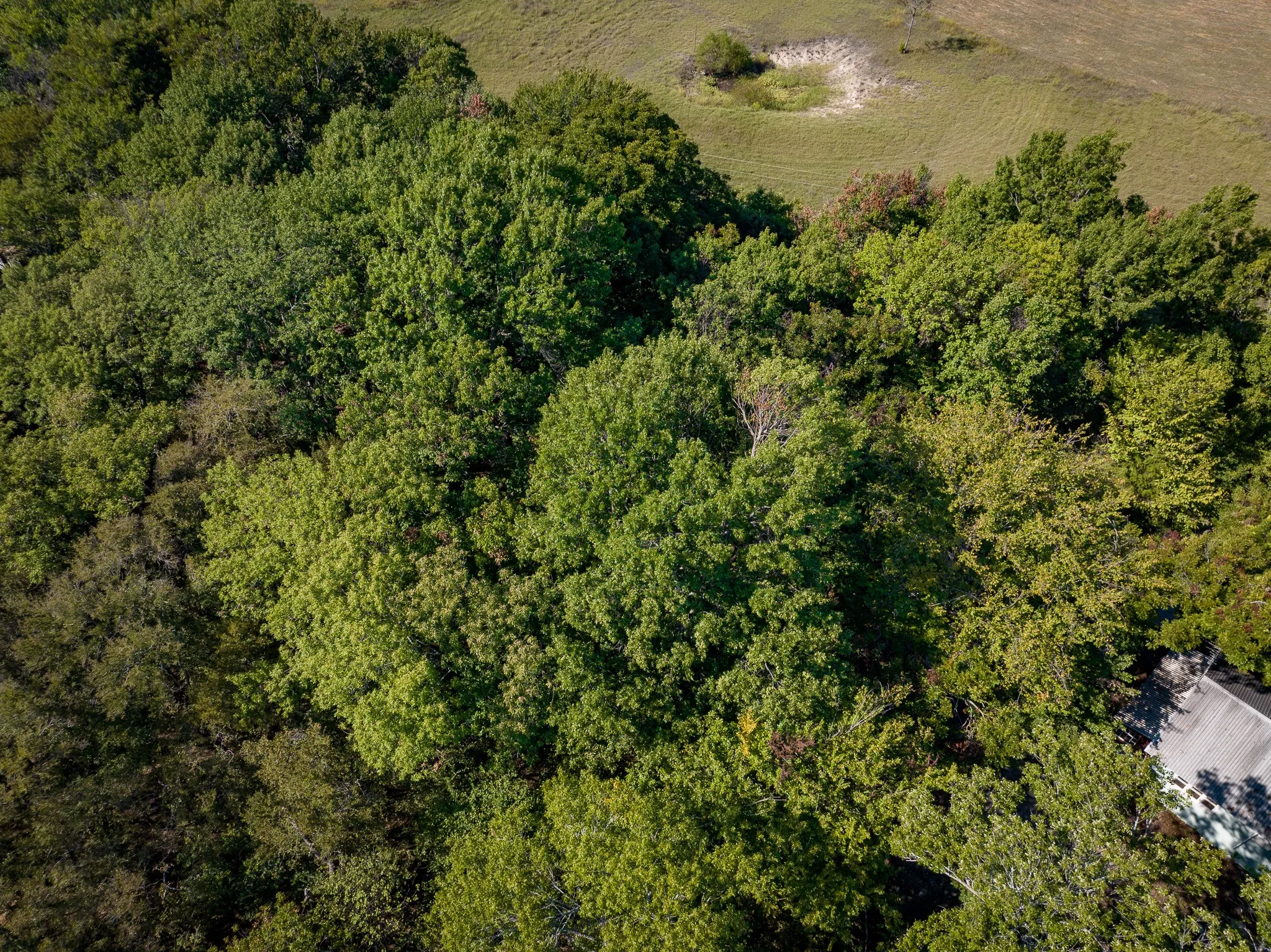 Unimproved Land For Sale in Collin County , TBD County Road 568, Princeton, Texas 75407, 0, 0, Garage spaces, 0 Sqft, built in 1950, mls#21408933, Real Estate Agent in Princeton, Homes For Sale in Collin county, Homes For Sale in Princeton, Realtor in Princeton Texas, Real Estate Brokerage Independent Realty Texas, Luminita Cordes Realtor