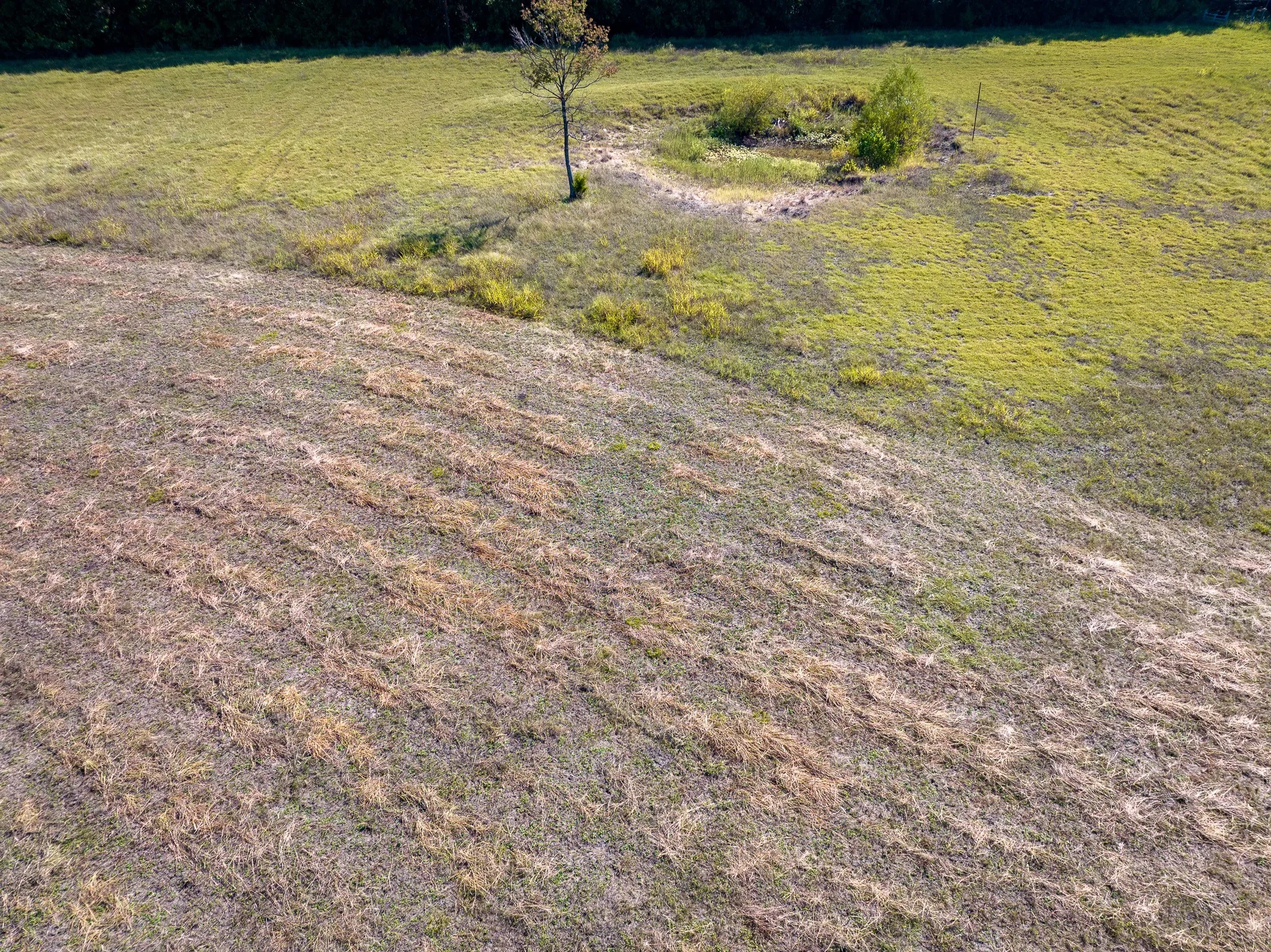 Unimproved Land For Sale in Collin County , TBD County Road 568, Princeton, Texas 75407, 0, 0, Garage spaces, 0 Sqft, built in 1950, mls#21408933, Real Estate Agent in Princeton, Homes For Sale in Collin county, Homes For Sale in Princeton, Realtor in Princeton Texas, Real Estate Brokerage Independent Realty Texas, Luminita Cordes Realtor