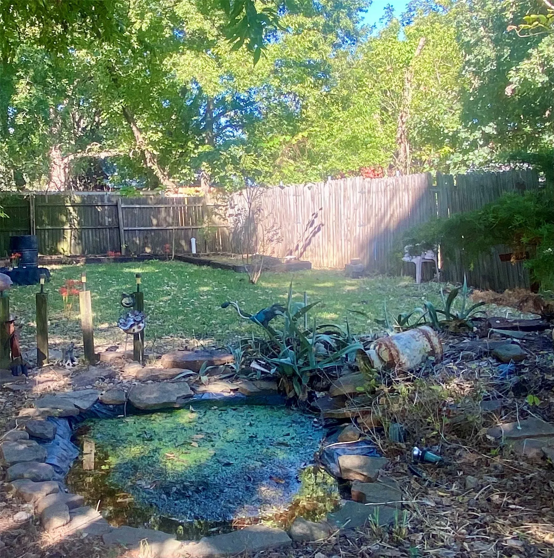 Goldfish pond
