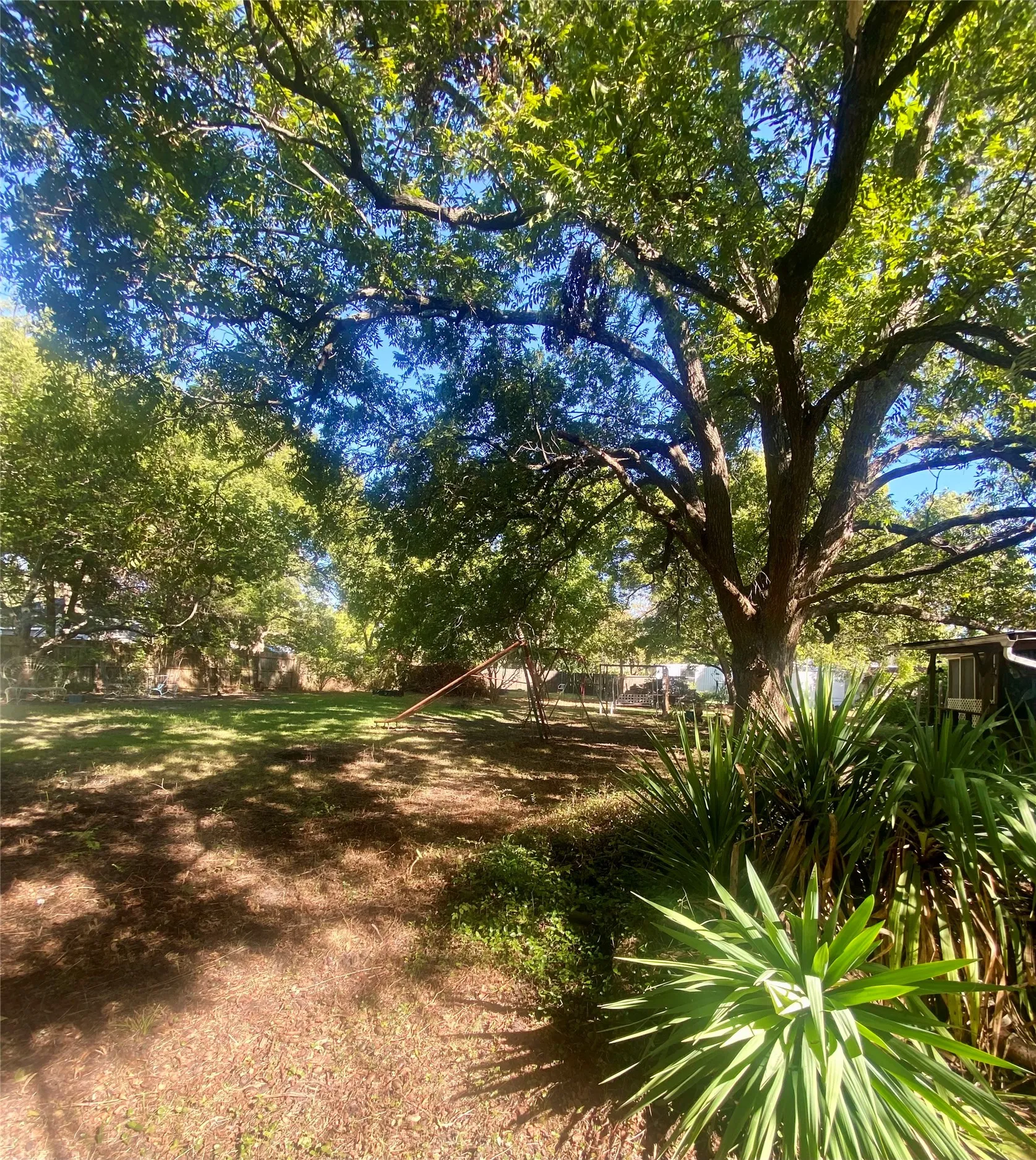 Expansive yard featuring mature trees, diverse ground cover, and natural landscaping