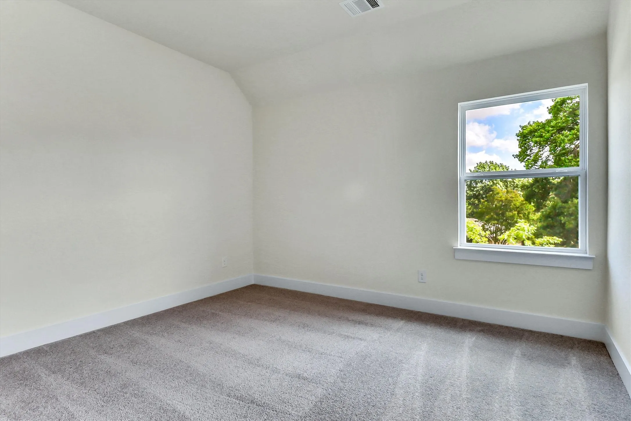 Neutral wall paint with textured carpeting and a white trim baseboard