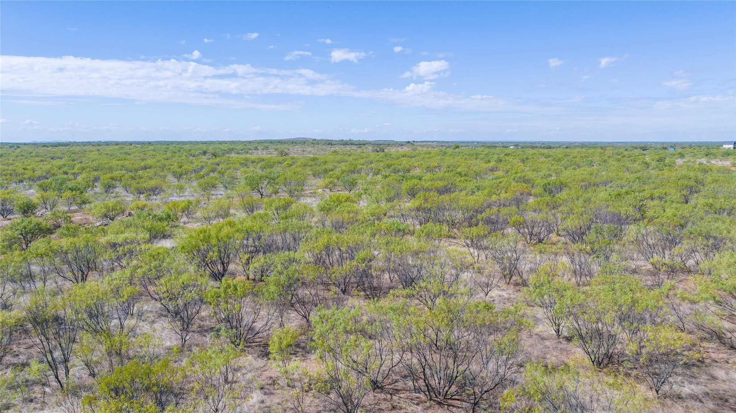 Ranch For Sale in Jones County , TBD 8773 W Lake Road, Abilene, Texas 79601, 0, 0, Garage spaces, 0 Sqft, built in 2012, mls#21408696, Real Estate Agent in Abilene, Homes For Sale in Jones county, Homes For Sale in Abilene, Realtor in Abilene Texas, Real Estate Brokerage Independent Realty Texas, Luminita Cordes Realtor