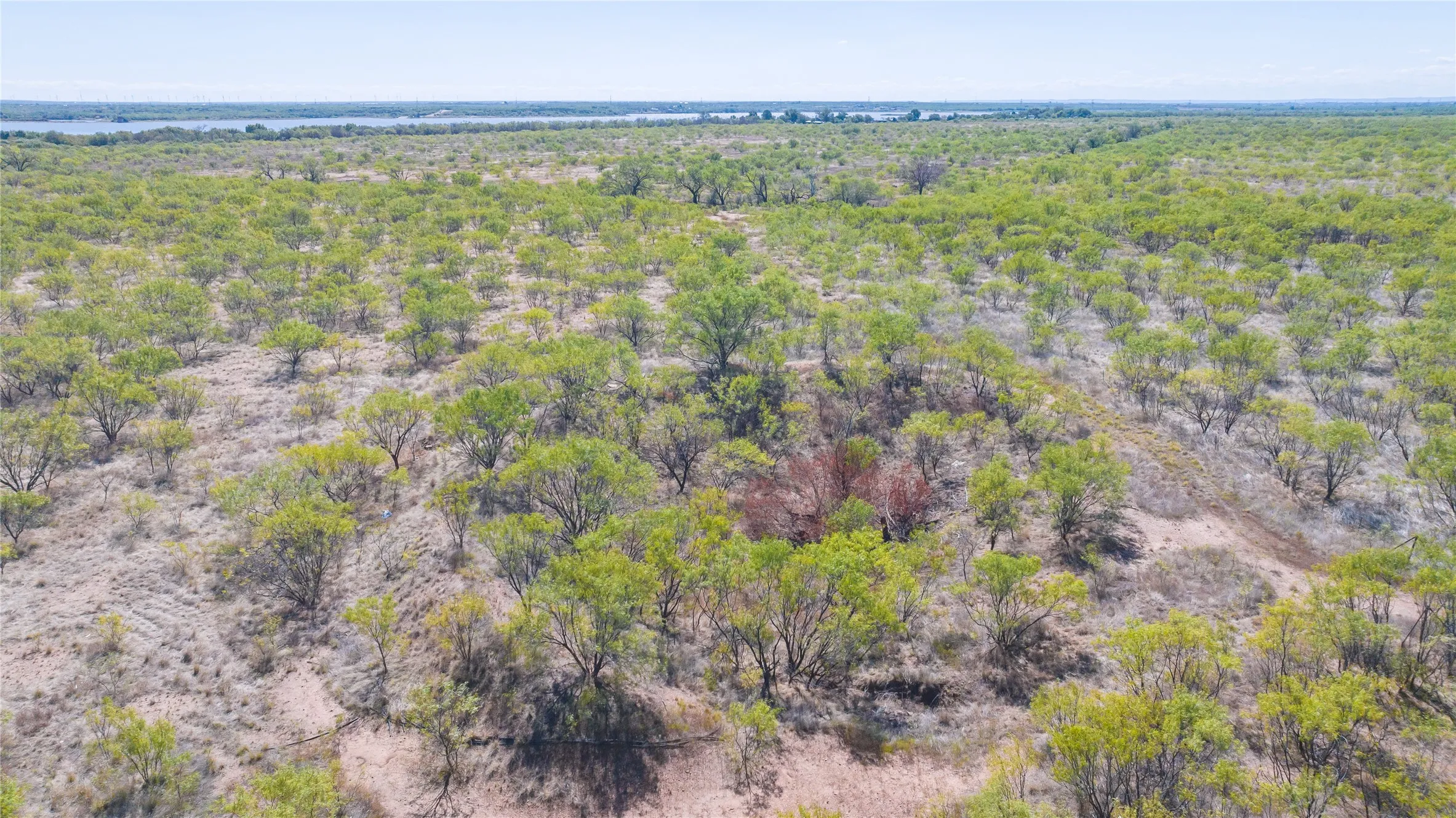 Ranch For Sale in Jones County , TBD 8773 W Lake Road, Abilene, Texas 79601, 0, 0, Garage spaces, 0 Sqft, built in 2012, mls#21408696, Real Estate Agent in Abilene, Homes For Sale in Jones county, Homes For Sale in Abilene, Realtor in Abilene Texas, Real Estate Brokerage Independent Realty Texas, Luminita Cordes Realtor