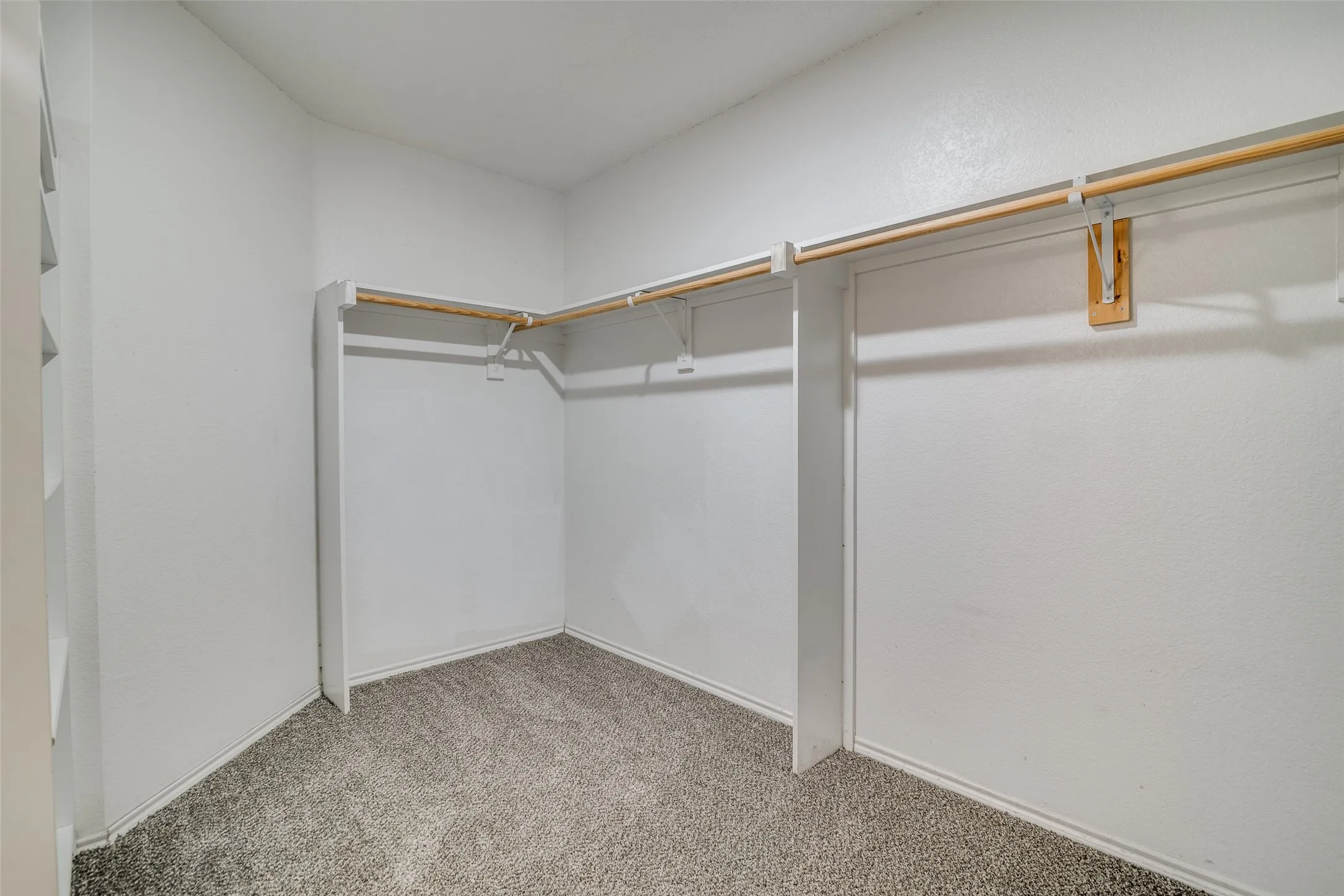 Walk-in closet with carpet flooring, white walls, and built-in shelving