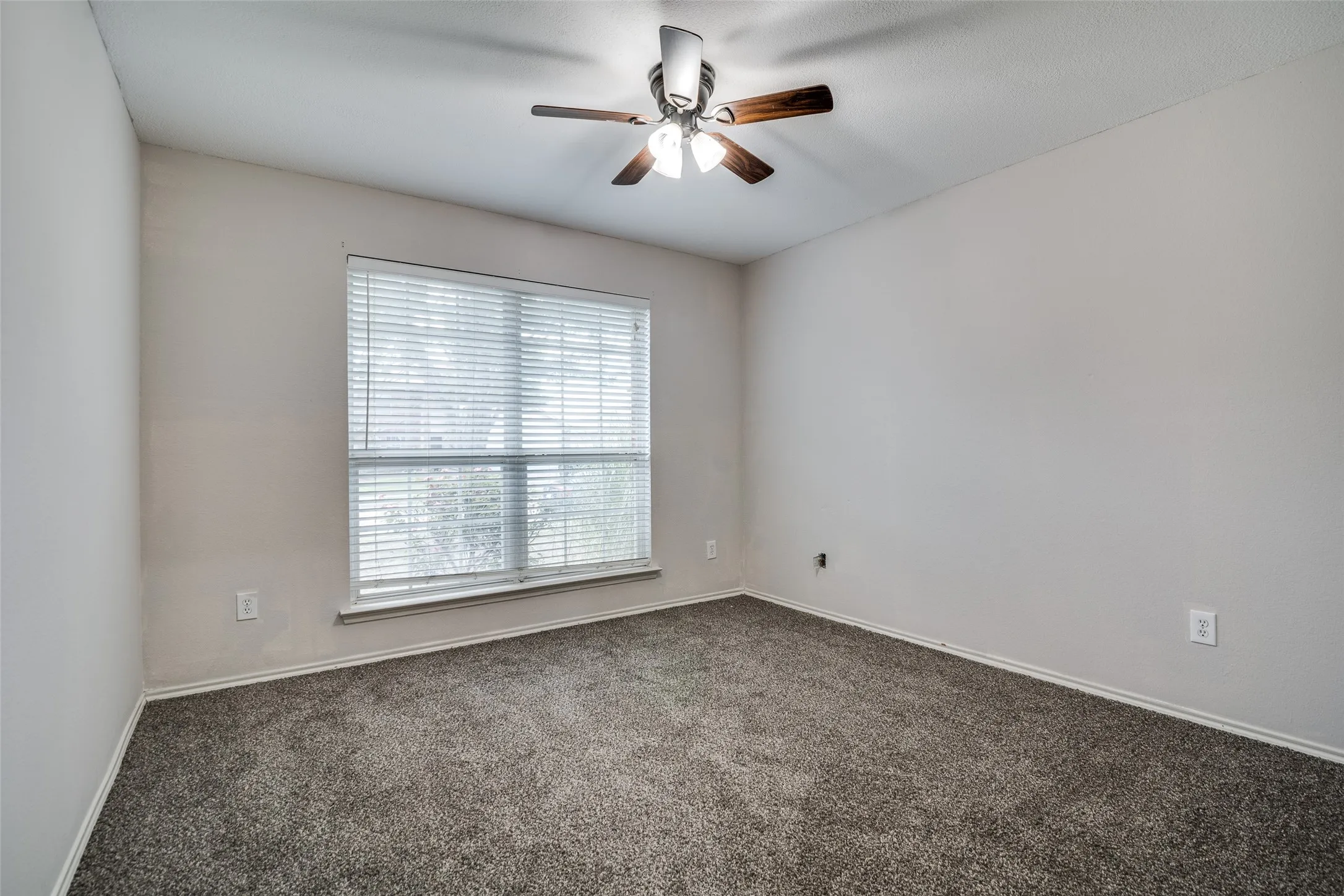 Neutral-toned walls complement plush carpeting