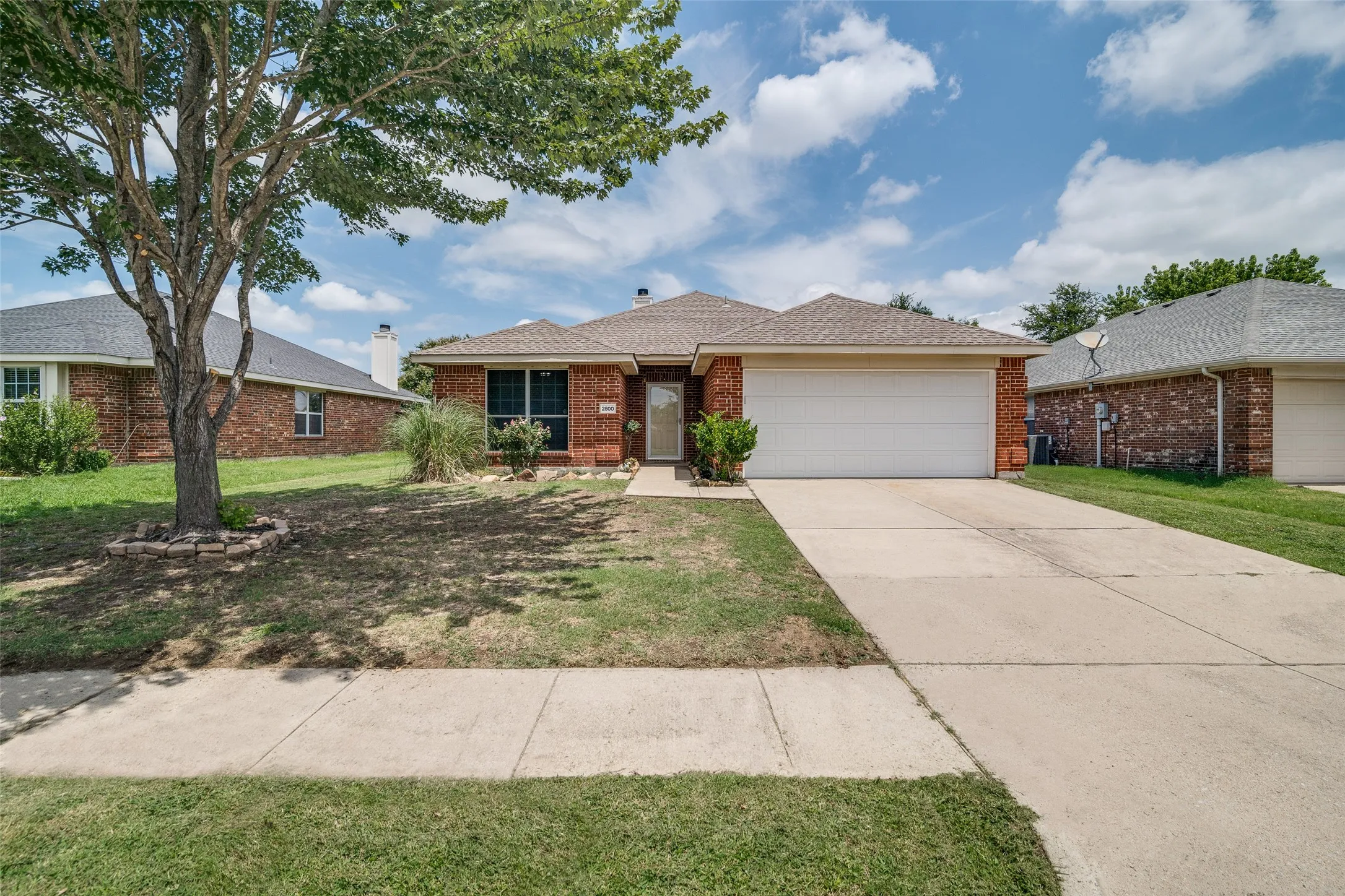 Brick exterior with a single-car garage, concrete driveway, and mature front yard tree