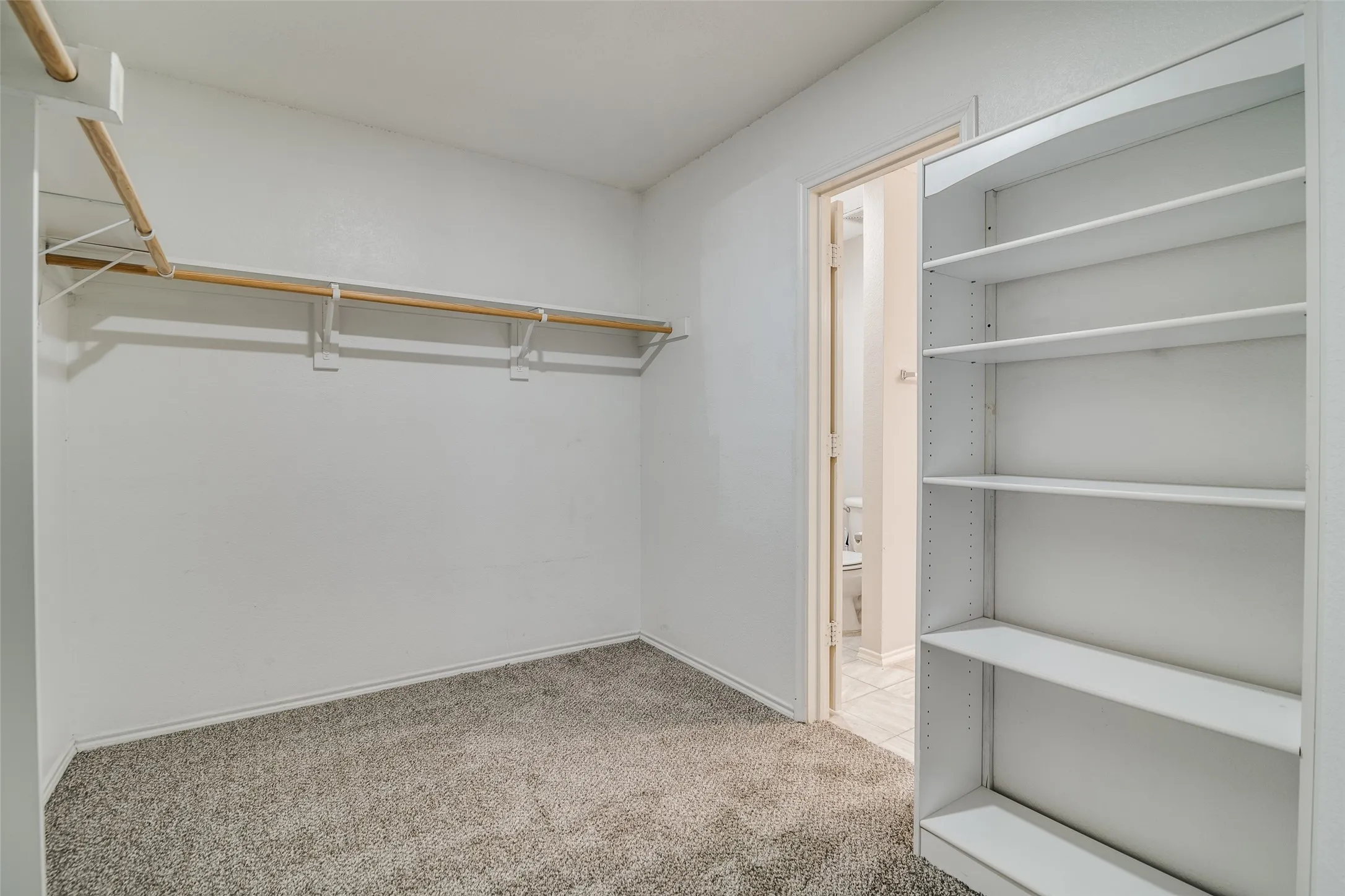 Plush carpeting and a built-in shelving unit with adjustable shelves