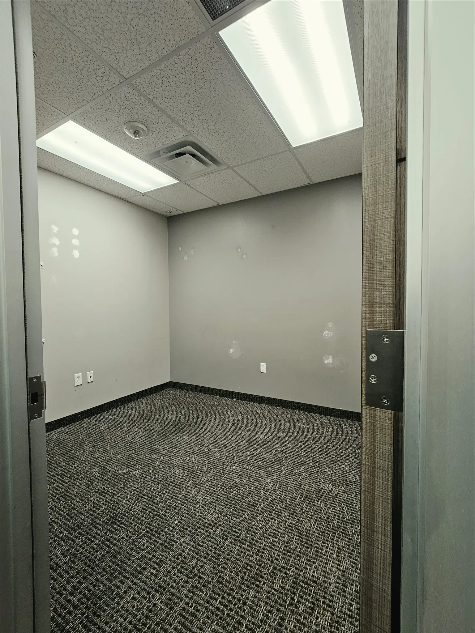 Patterned carpet flooring with baseboard trim