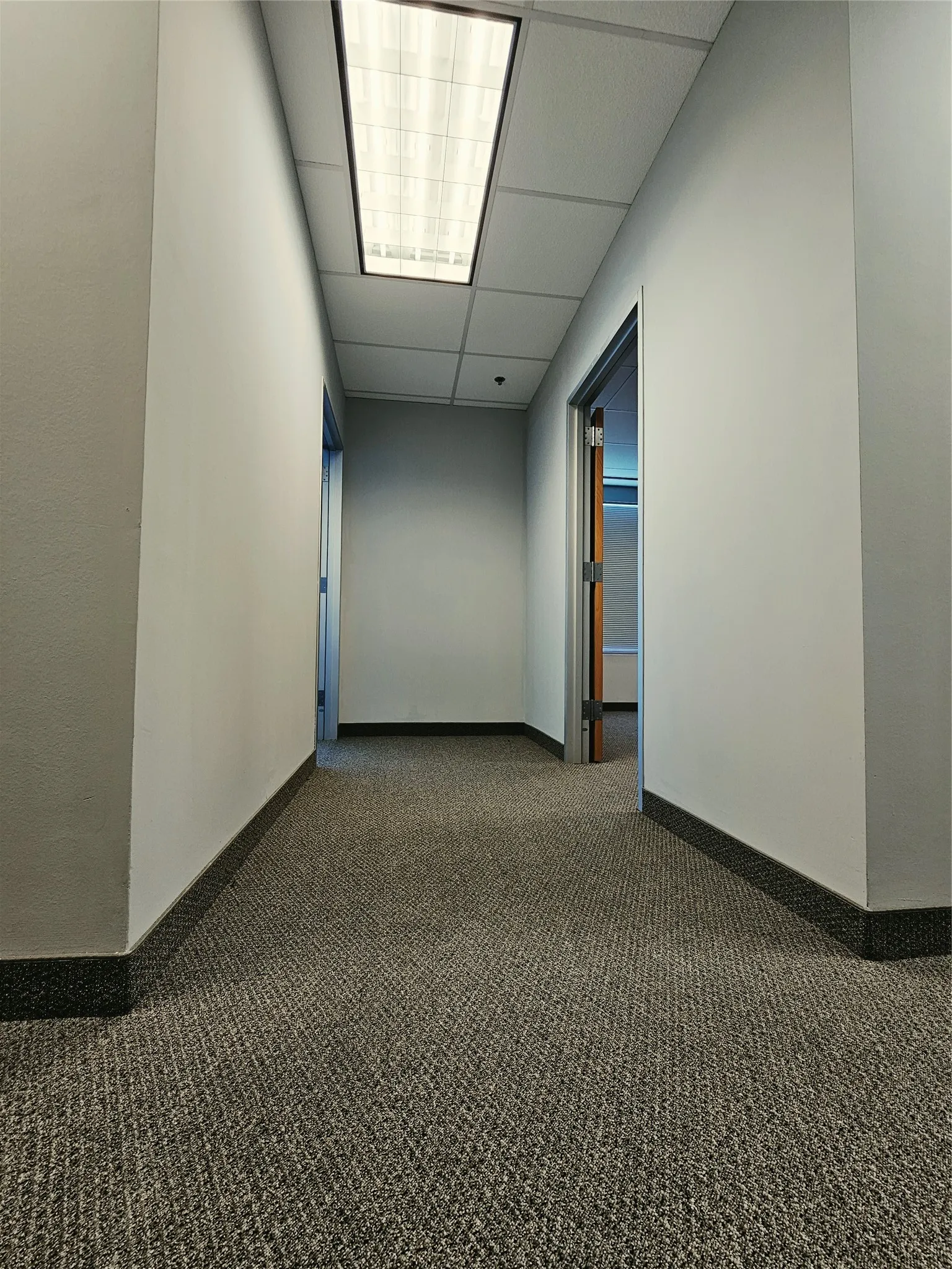 Corridor featuring textured carpeting, white walls, black baseboards, and a dropped ceiling with recessed lighting