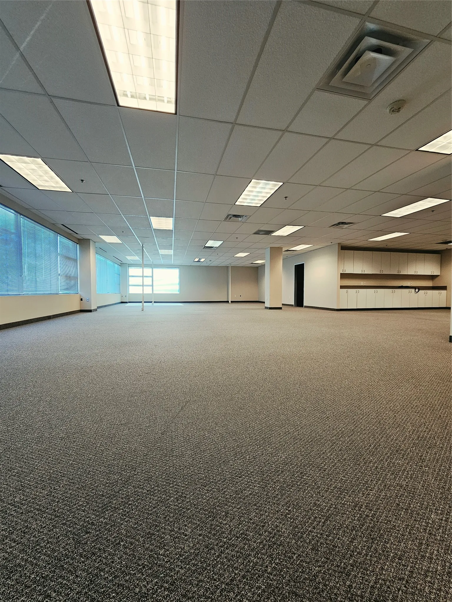 Expansive open-concept room with dark gray patterned carpeting, drop ceiling with integrated lighting, and walls of windows