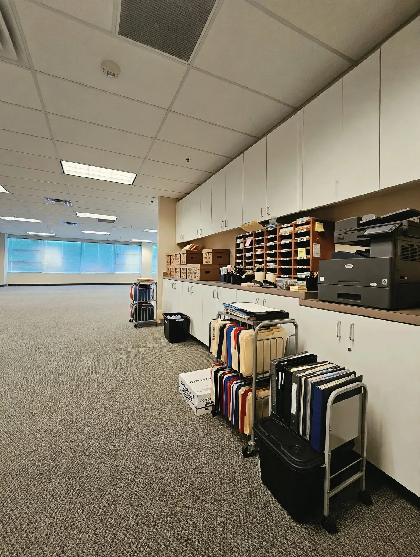 Recessed lighting, drop ceiling, wall-mounted cabinetry, integrated countertop, and carpeted flooring