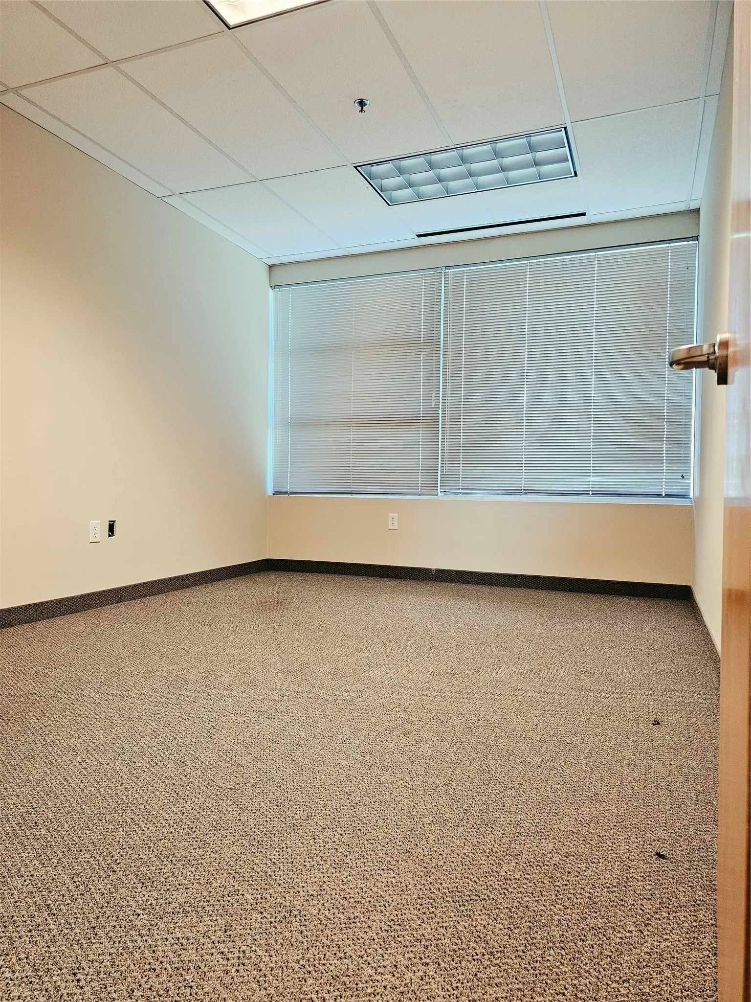 Wall-to-wall carpeting and neutral wall finishes