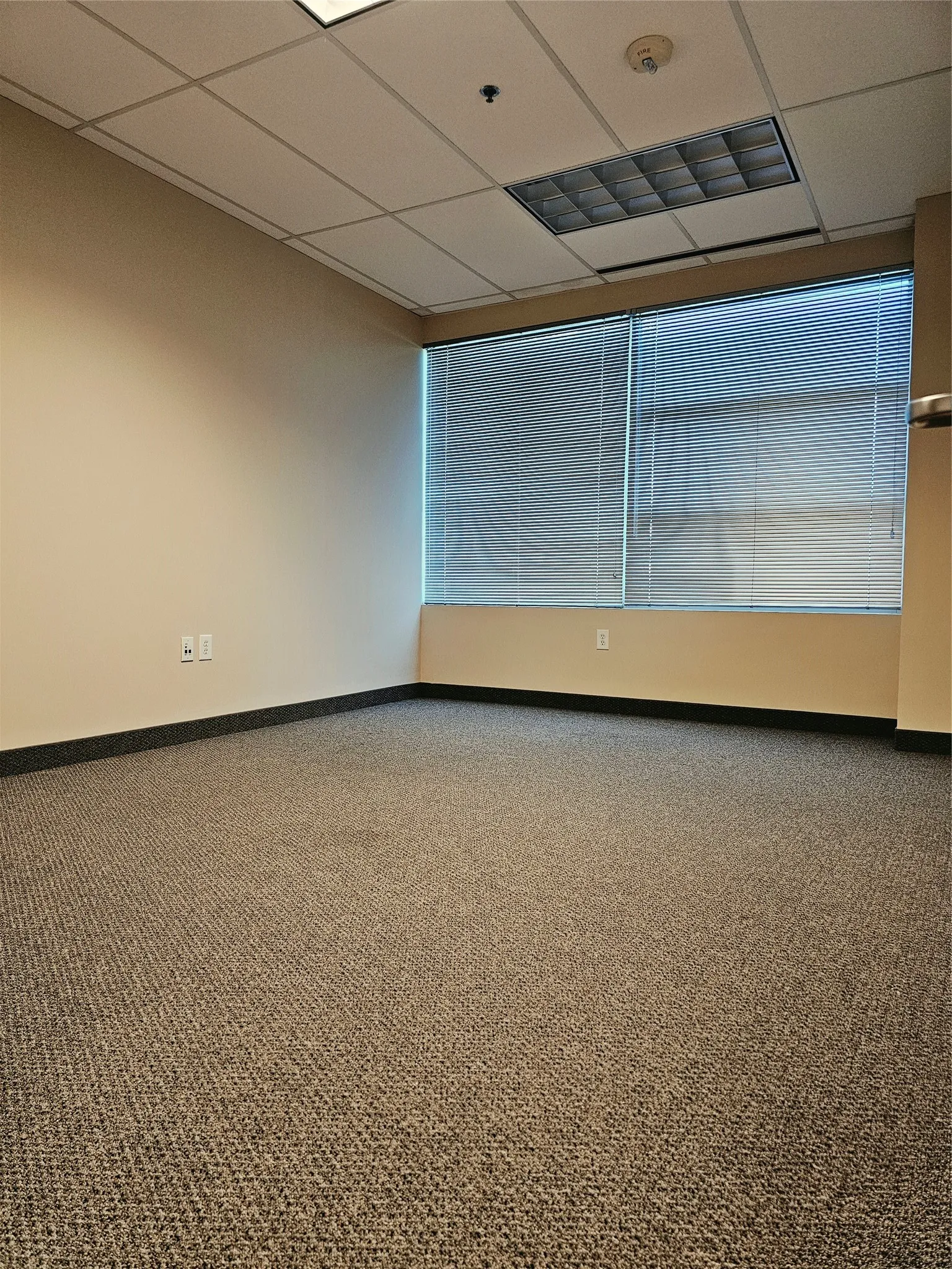 Neutral-toned walls complement the durable carpet flooring and black baseboards