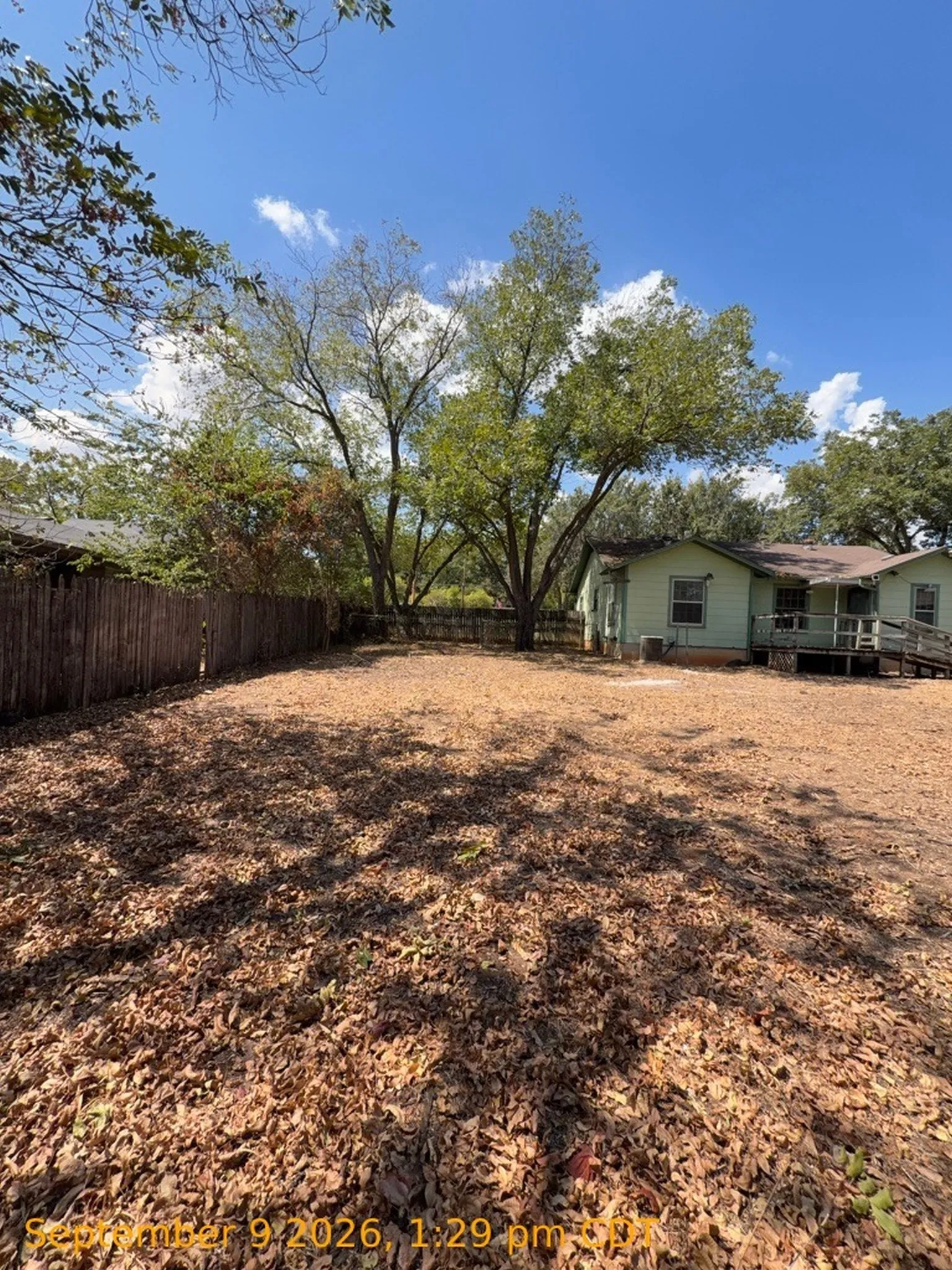 Expansive rear yard with mature trees