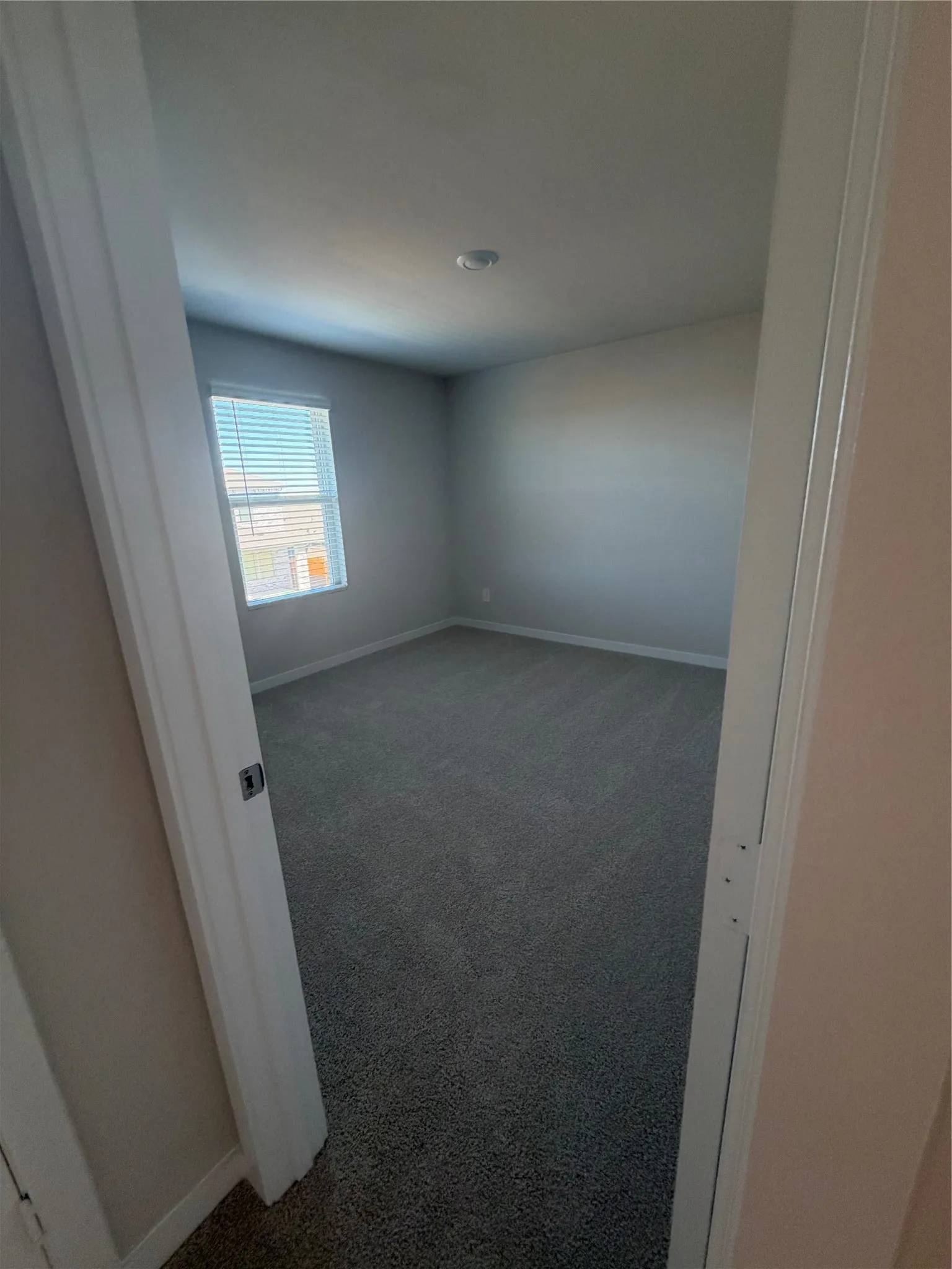 Single Family Residence For Rent in Collin County , 3604 Deer Drive, Princeton, Texas 75071, 4 Bedroom, 3 Bathroom, 2 Garage spaces, 2,055 Sqft, built in 2026, mls#21409042, Real Estate Agent in Princeton, Homes For Rent in Collin county, Homes For Rent in Princeton, Realtor in Princeton Texas, Real Estate Brokerage Independent Realty Texas, Luminita Cordes Realtor