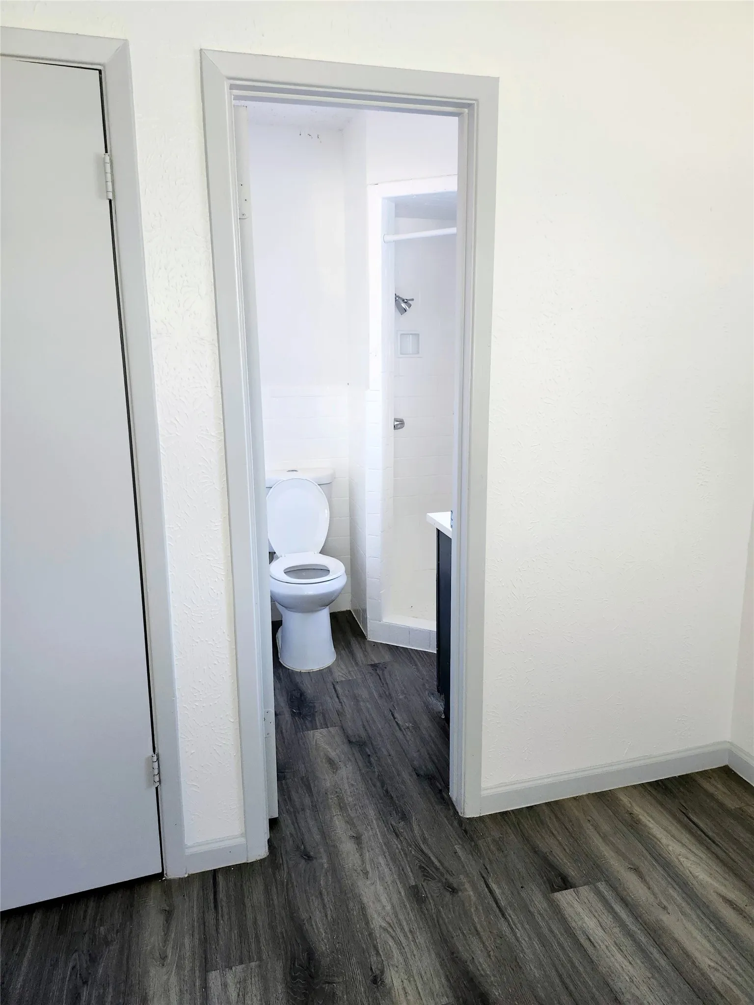 Master Bath - Wood-finish flooring throughout, with a white toilet and a dark-toned vanity in the bathroom