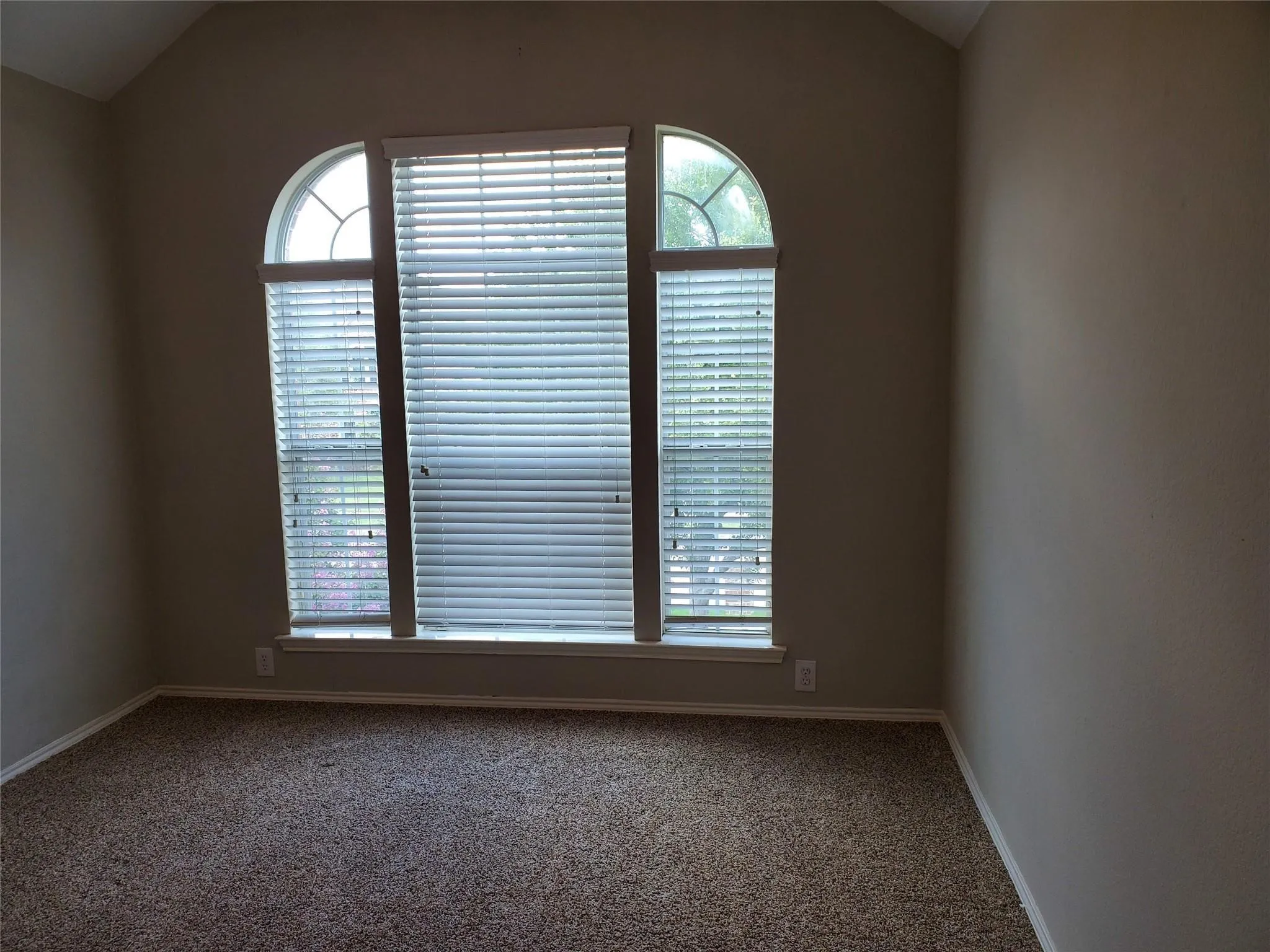 Empty room featuring carpet flooring and a healthy amount of sunlight