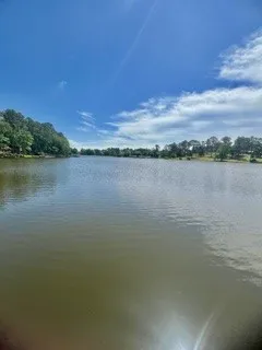 Single Family Residence For Sale in Wood County , 517 Private Road 7908, Hawkins, Texas 75765, 2 Bedroom, 2 Bathroom, Garage spaces, 1,440 Sqft, built in 1967, mls#21409049, Real Estate Agent in Hawkins, Homes For Sale in Wood county, Homes For Sale in Hawkins, Realtor in Hawkins Texas, Real Estate Brokerage Independent Realty Texas, Luminita Cordes Realtor