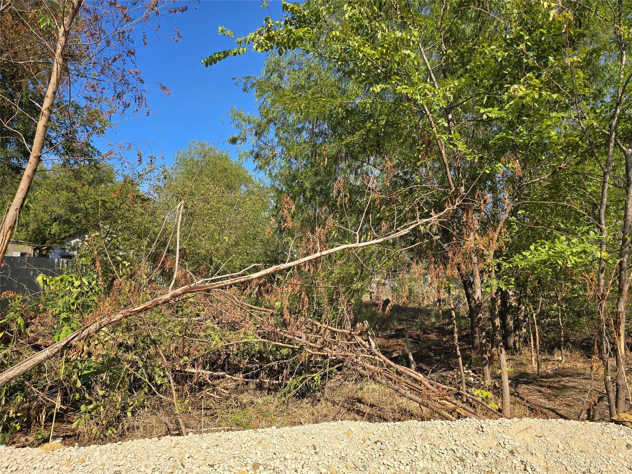 Unimproved Land For Sale