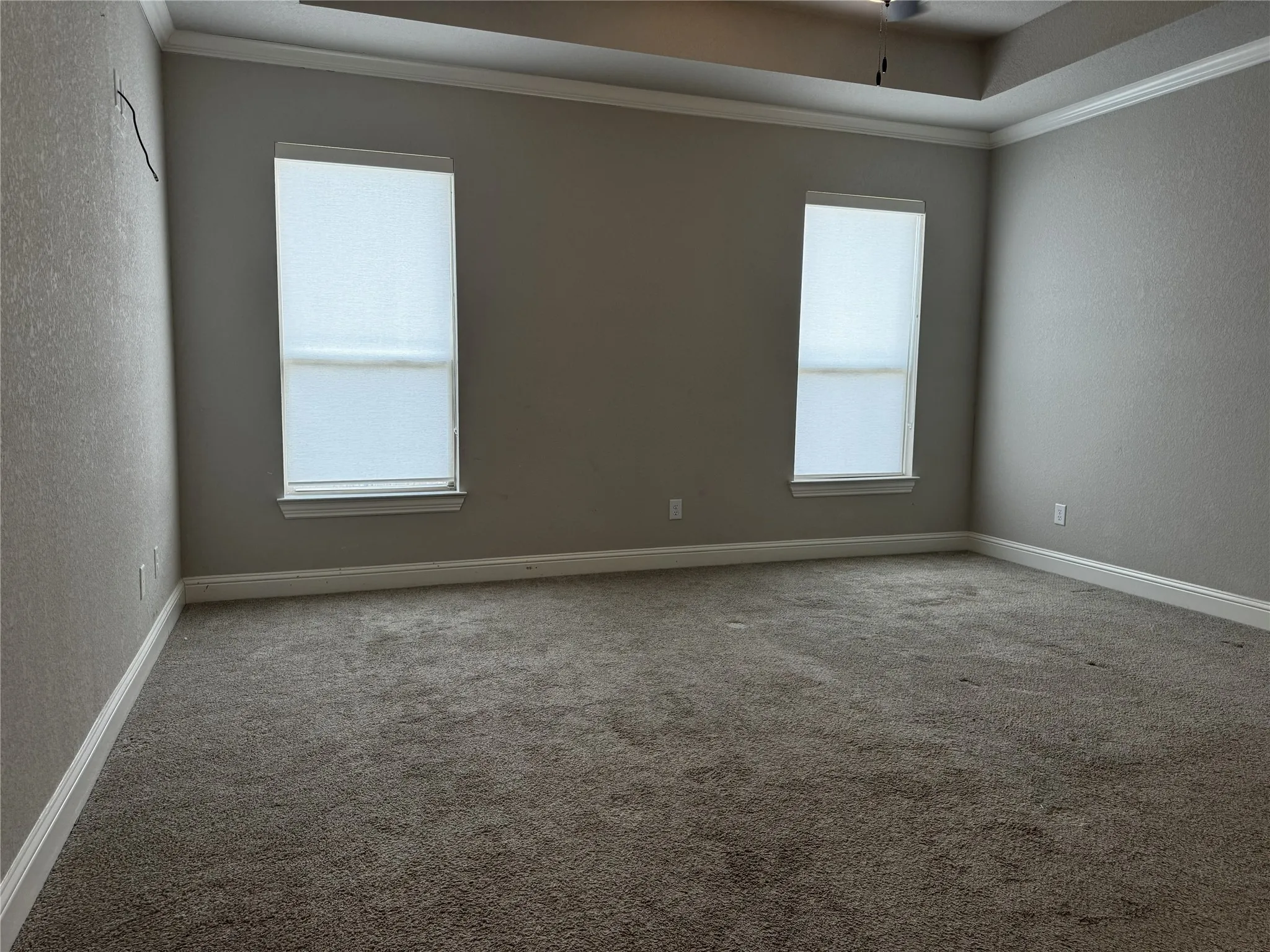 Wall-to-wall carpeting, two windows with roller shades, and a tray ceiling with crown molding
